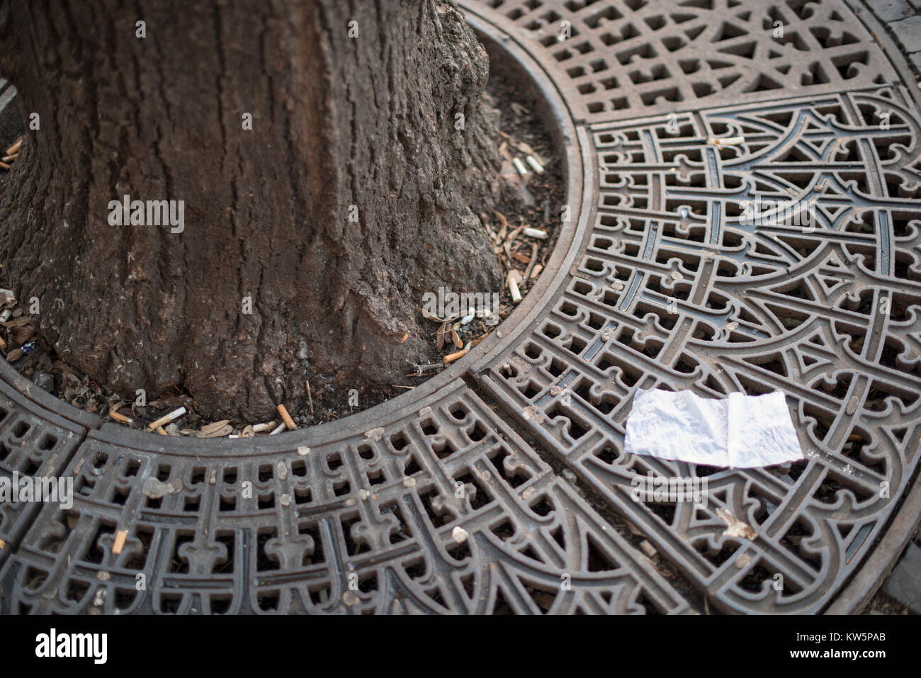 Close-up de détritus autour d'une grille d'ornement autour d'un arbre de la rue dans une ville dotée d'un morceau de tissu et de mégots de cigarettes Banque D'Images