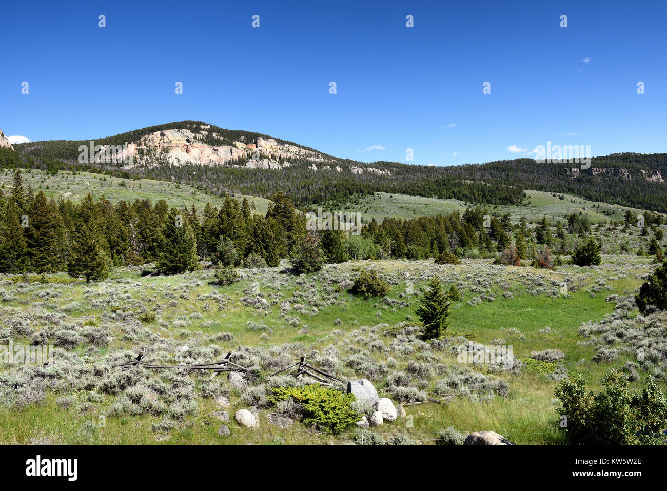 Paysage pittoresque Bighorn National Forest, Beartooth Mountains, dans le Wyoming. Banque D'Images