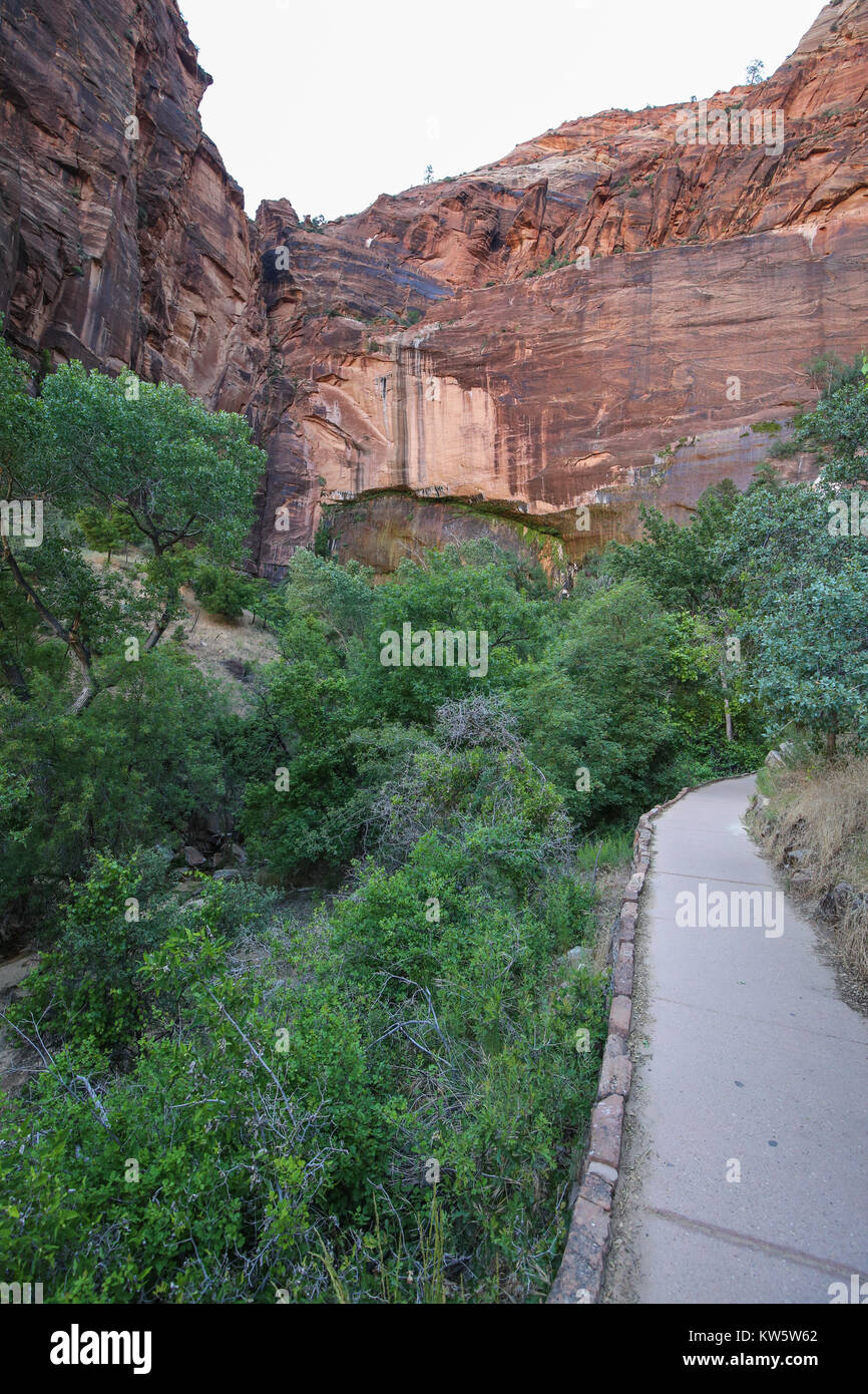 Sentier préparé de la Paroi en pleurs de la randonnée dans le parc national de Zion Banque D'Images