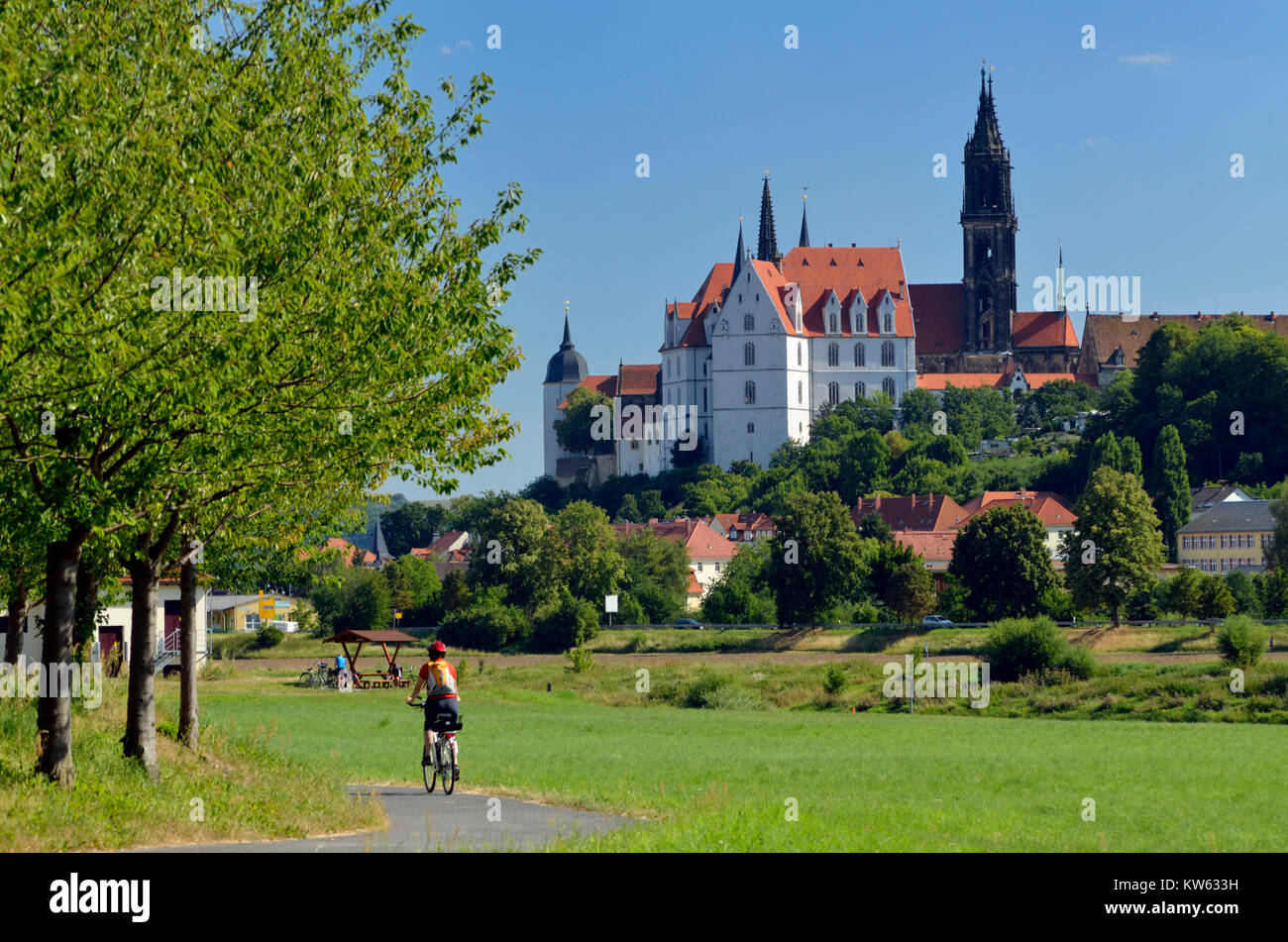 La piste cyclable de l'Elbe près de Meissen, Elberadweg bei Meißen Banque D'Images