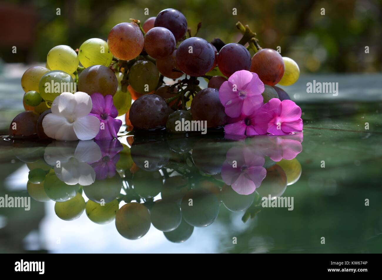 Les raisins et les fleurs dans l'eau Banque D'Images