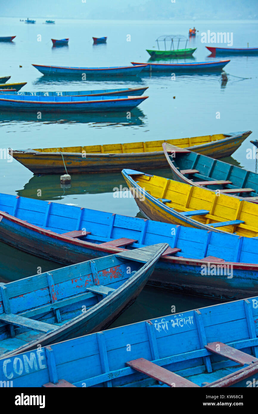 Barques aux couleurs vives sur le lac sur un matin brumeux, Pokhara, Népal Banque D'Images