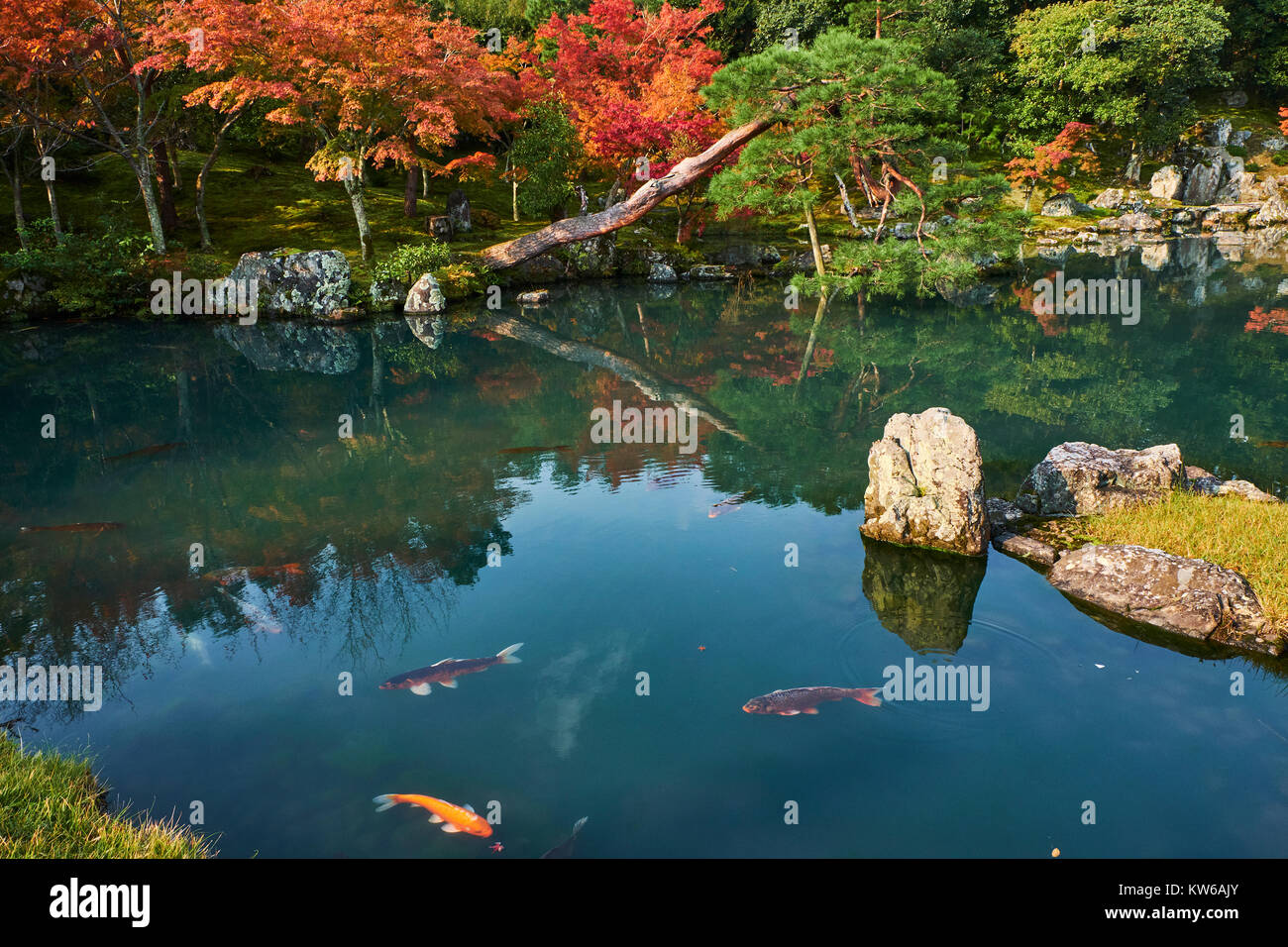 Le Japon, l'île de Honshu, région du Kansai, Kyoto, Temple Tenryū-ji, Arashiyama, UNESCO World Heritage site, jardin zen Banque D'Images