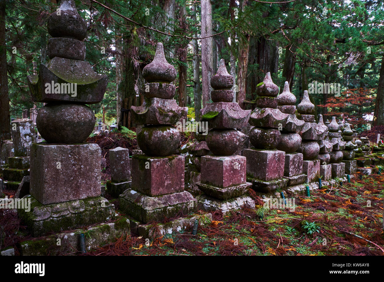Le Japon, Honshu, Wakayama, sentier de pèlerinage de Kumano Kodo, Koya San, Oku, dans aucun cimetière bouddhiste bouddhiste avec pierre tombale Banque D'Images