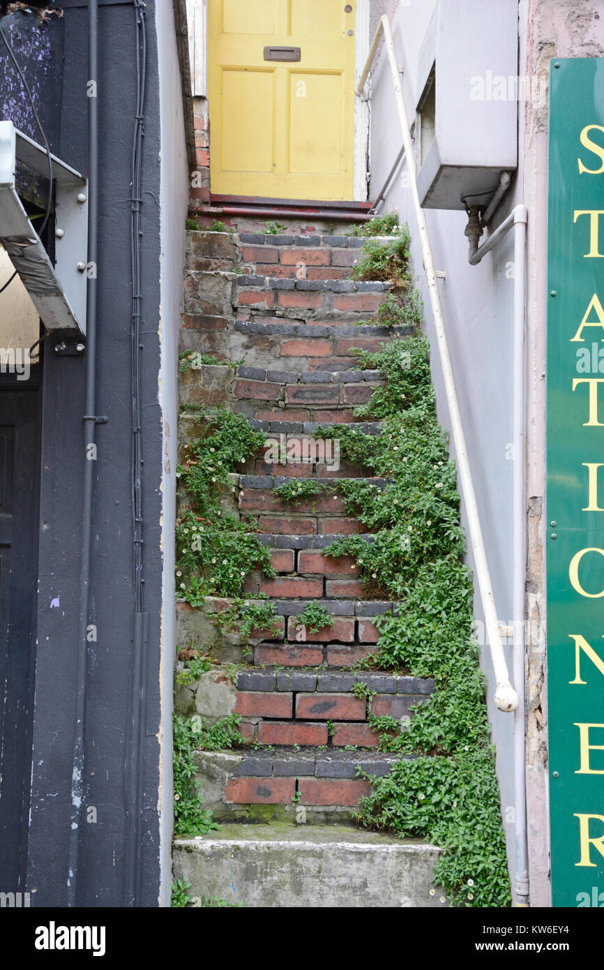 Escalier envahi, Gloucester Road, Bristol Banque D'Images