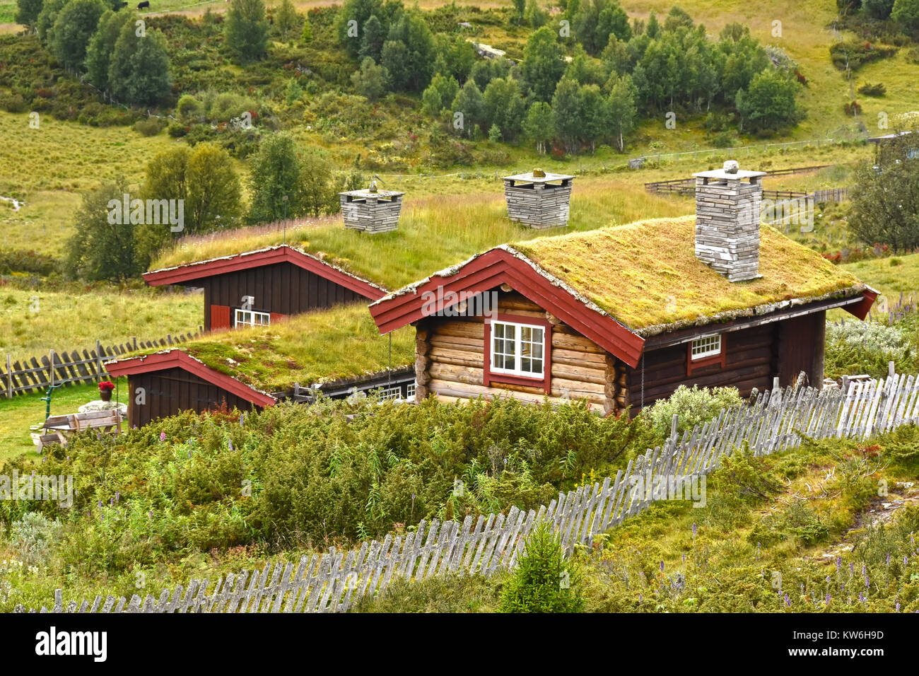 Maisons de Village de la Norvège Banque D'Images