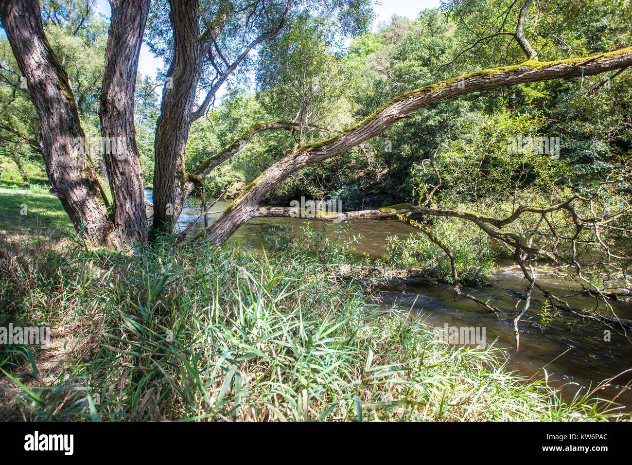 Parc national Thayatal, River Valley, Autriche Banque D'Images