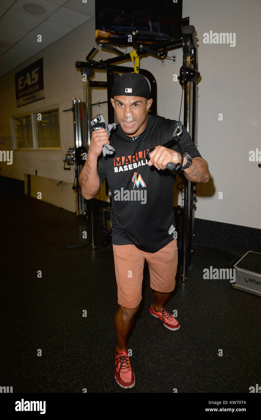 MIAMI, FLORIDE - 19 août : (COUVERTURE EXCLUSIVE) UFC Fighter Vitor Belfort rend visite à ses amis et Marlin Miami attrape une coupe rapide avec les Marlins à Headzup Coiffure Hugo "Jus" Tandron avant leur match au Parc des Marlins. Vitor Vieira Belfort est un artiste martial mixte brésilien et ancien champion poids lourd UFC Light ainsi que 12 UFC Heavyweight Champion du tournoi. Belfort est né à Rio de Janeiro et a étudié avec le jiu-jitsu Gracie, à savoir la famille Carlson Gracie. À compter du 22 juillet 2014, il est # 2 dans le classement officiel de poids moyen de l'UFC, # 13 à # 12 light heavyweight et livre-pour-poun Banque D'Images