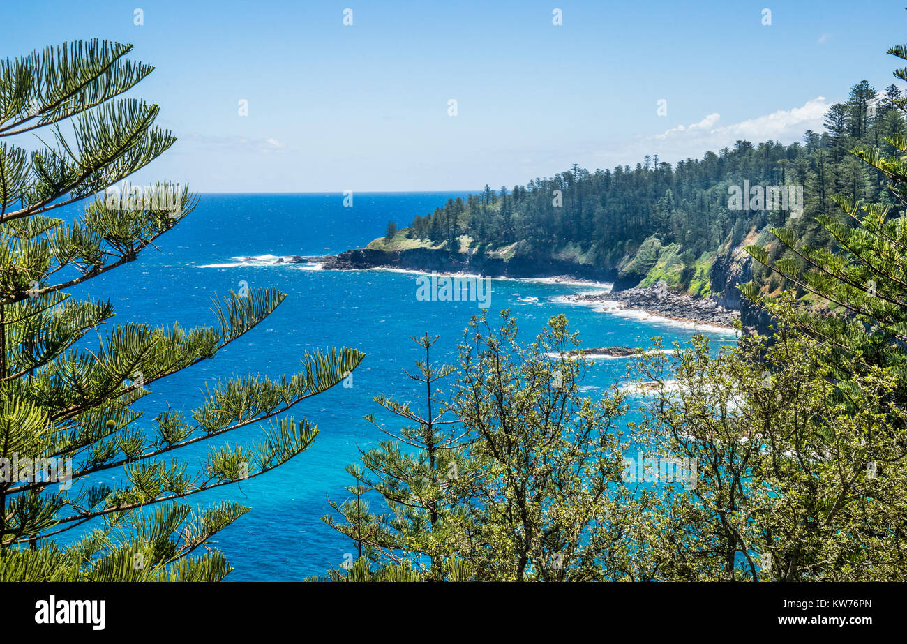 L'île de Norfolk, territoire extérieur australien, l'île Norfolk côte parsemée de pin point vu de Ross Réserver Banque D'Images