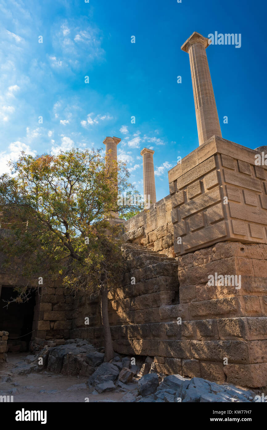 Colonnes du portique et arbre sur l'Acropole de Lindos (Rhodes, Grèce) Banque D'Images