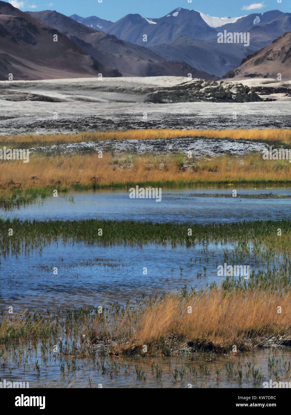 Rivière de haute montagne : l'eau de flux entre les tsevta bleu Yellow Grass, dans l'arrière-plan le désert salé et les chaînes de montagnes de l'Himalaya Banque D'Images