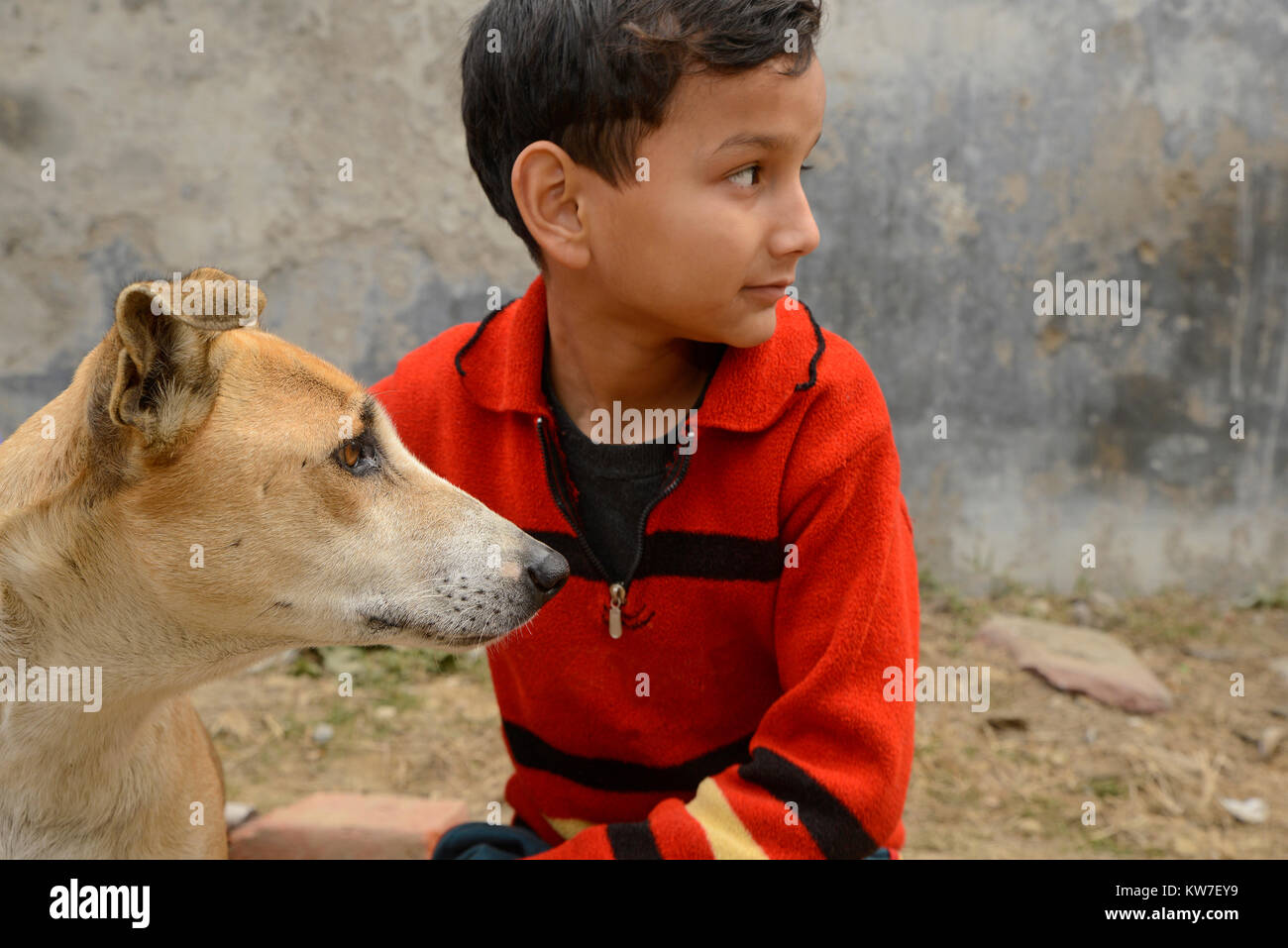 Cute boy jouant avec son chien Banque D'Images