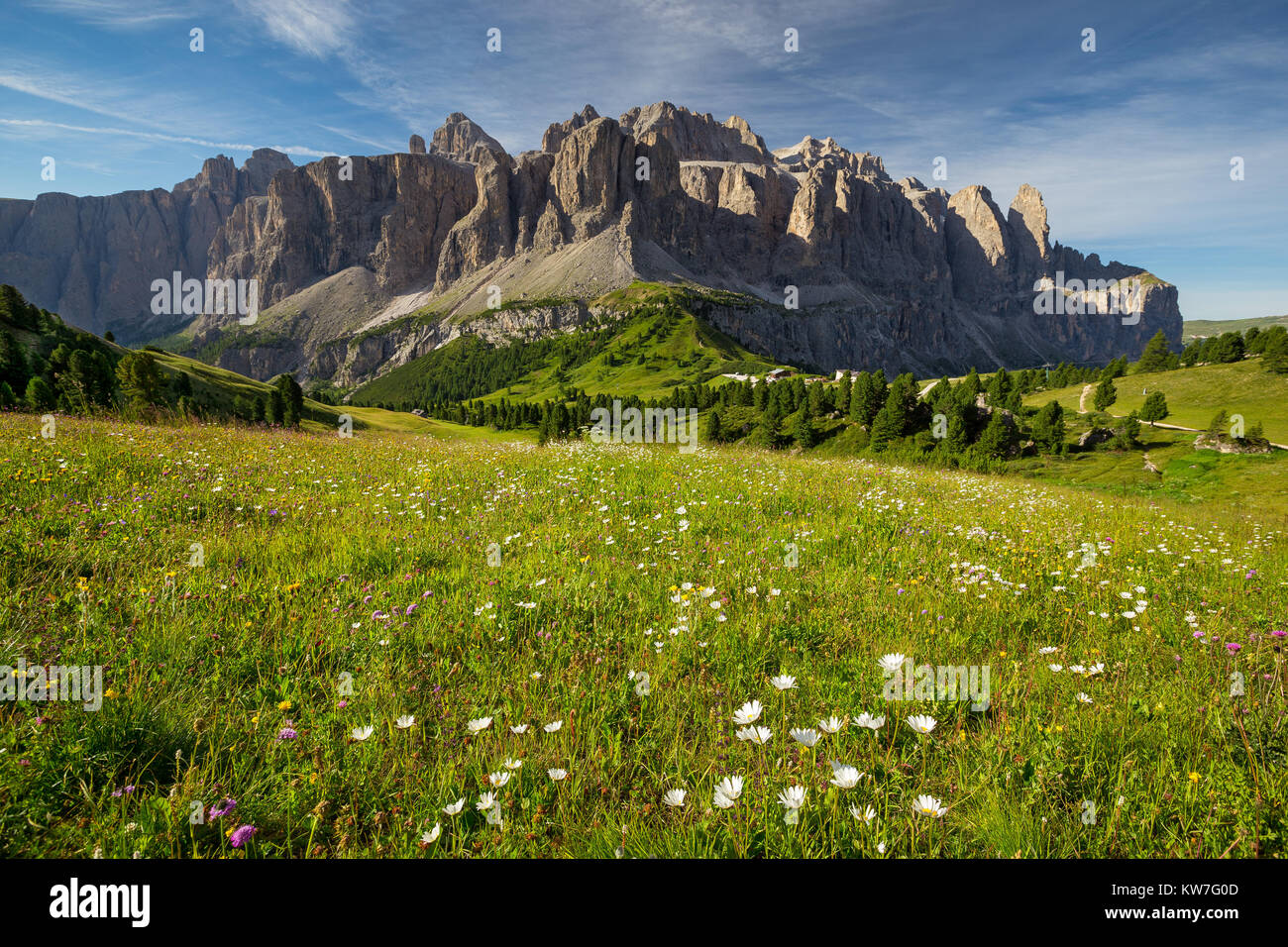 Vue sur le groupe de montagnes Sella. Passo Gardena. Prairie fleurie. Les Dolomites. Alpes italiennes. Europe. Banque D'Images