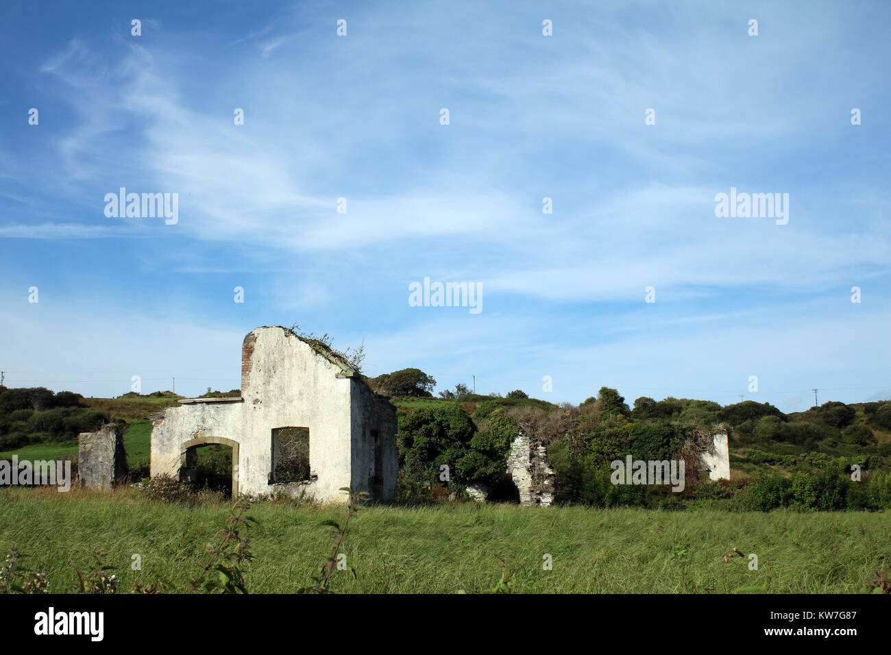 Vieux bâtiment en pierre dans les hautes herbes et le champ, Irlande Banque D'Images