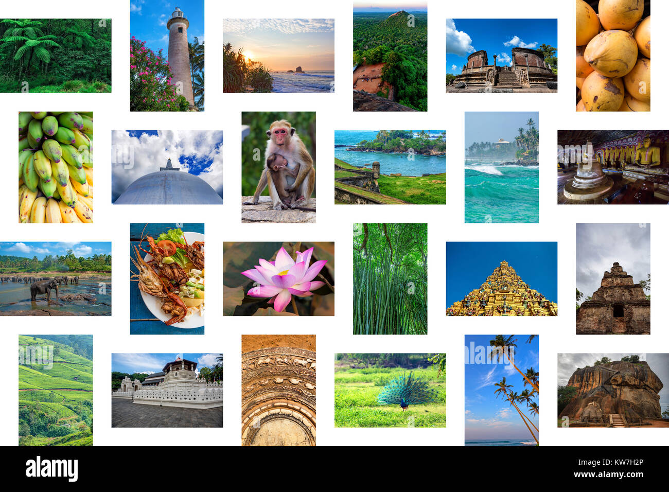 Sri Lanka travel concept collage Banque D'Images