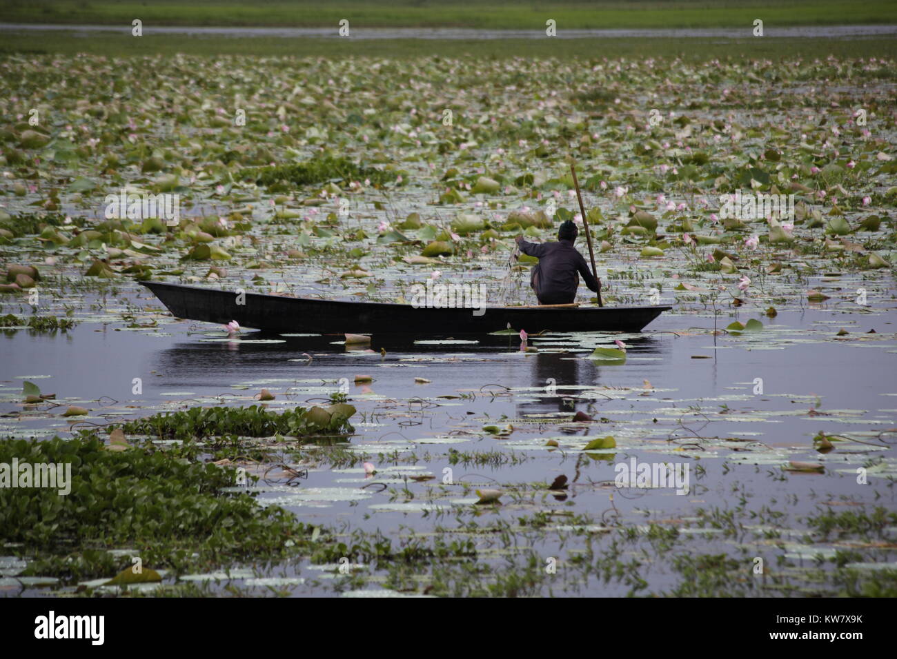 Pêcheur sur un bateau, Bangladesh Banque D'Images