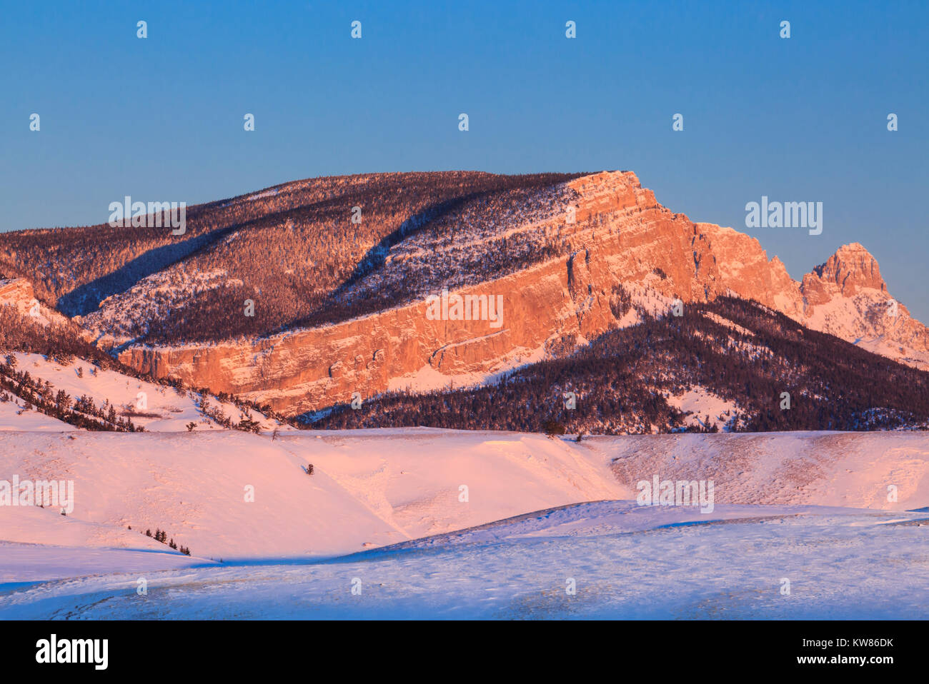 La lumière du matin sur le long de la crête de scie avant des montagnes Rocheuses en hiver près de augusta, Montana Banque D'Images