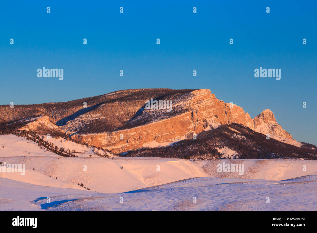 La lumière du matin sur le long de la crête de scie avant des montagnes Rocheuses en hiver près de augusta, Montana Banque D'Images