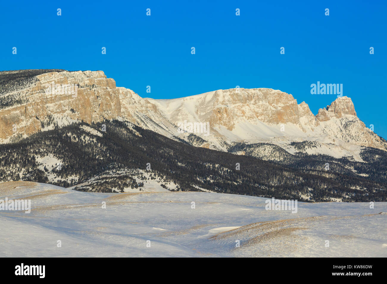 Le long de la crête de scie avant des montagnes Rocheuses en hiver près de augusta, Montana Banque D'Images