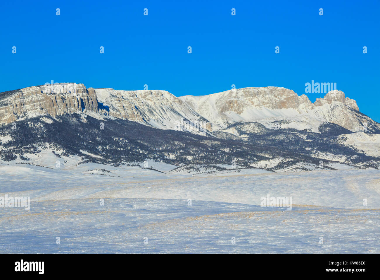 Le long de la crête de scie avant des montagnes Rocheuses en hiver près de augusta, Montana Banque D'Images
