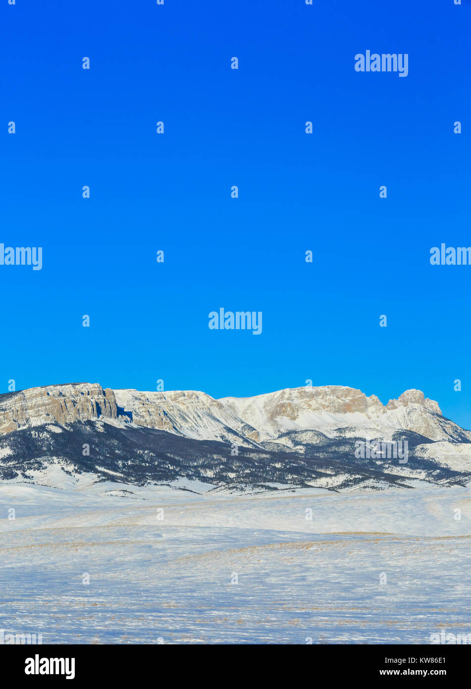 Le long de la crête de scie avant des montagnes Rocheuses en hiver près de augusta, Montana Banque D'Images