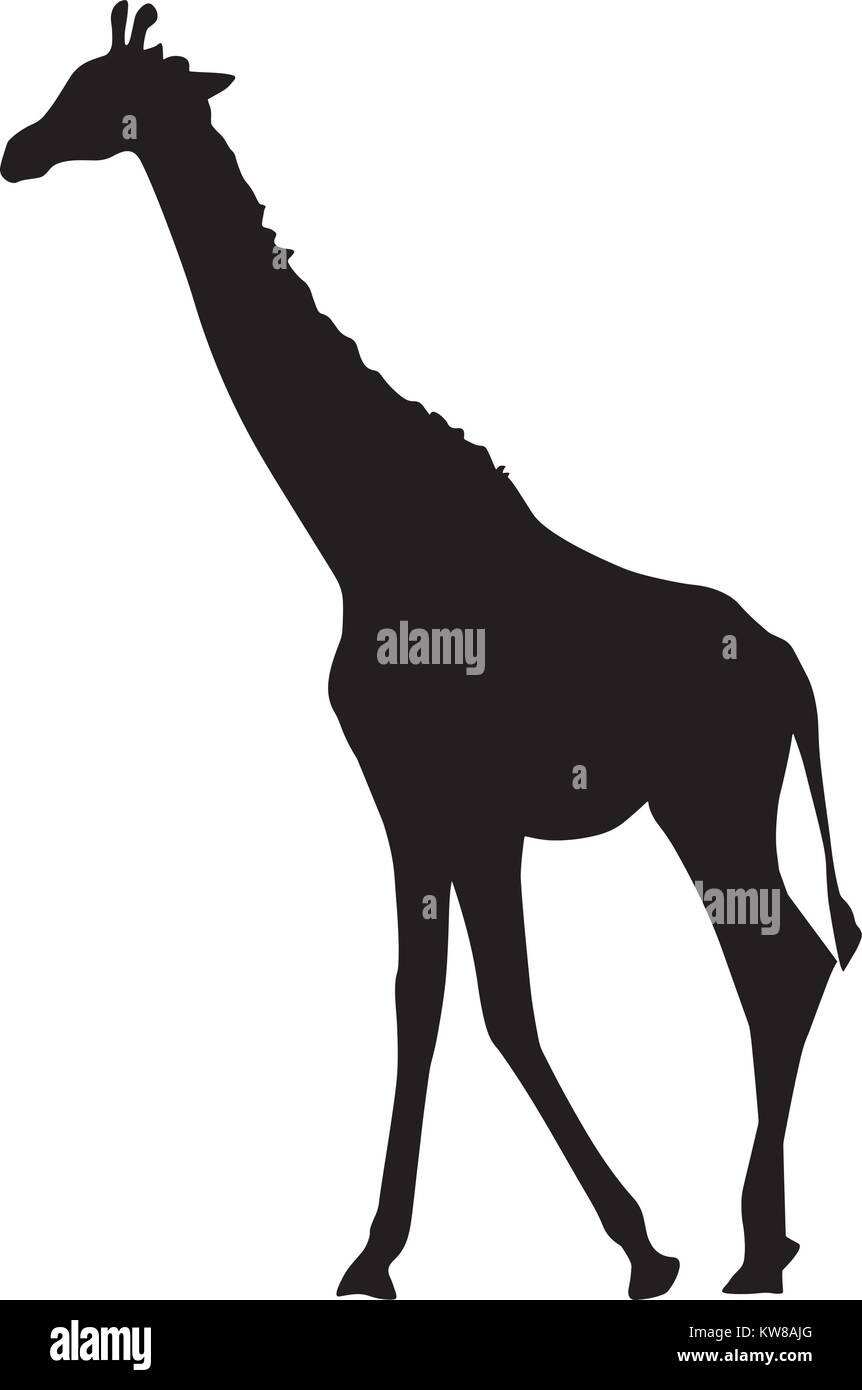 Girafe silhouette, Vector illustration Illustration de Vecteur