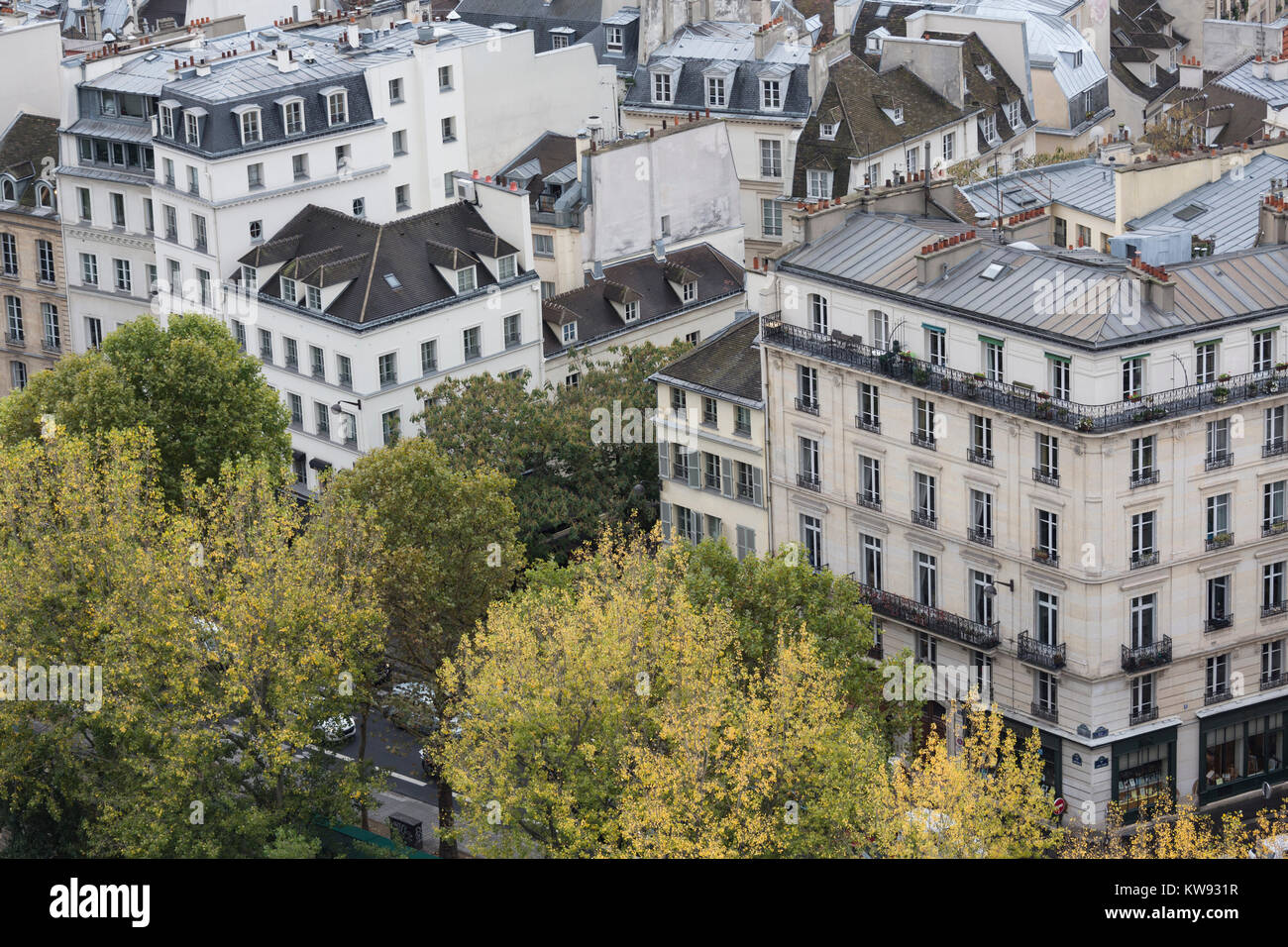 France, Paris, toits de maisons dans le 5e arrondissement Banque D'Images