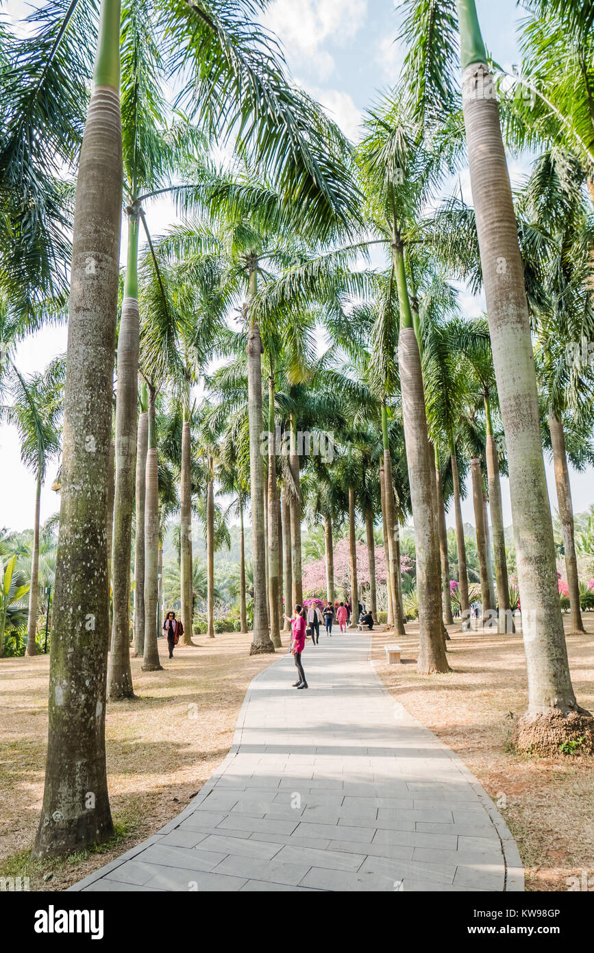 Parc Lianhuashan Shenzhen Banque D'Images