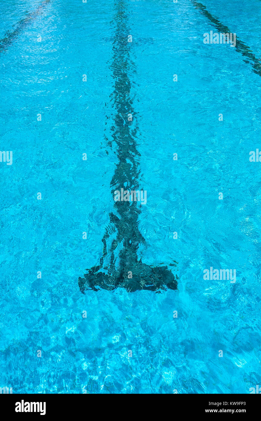 Lignes de natation dans une piscine Banque D'Images