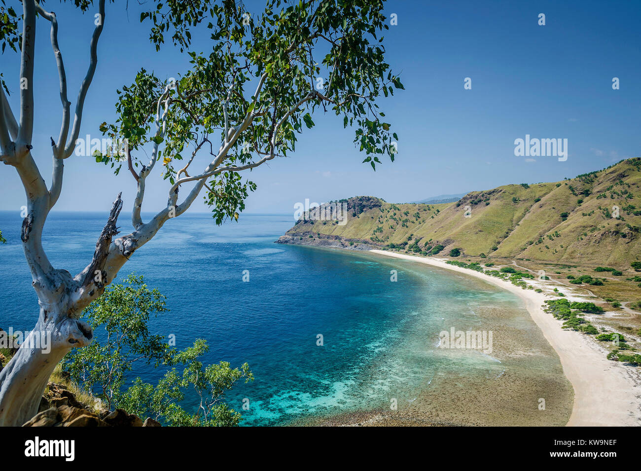 Vue sur la plage et la côte près de Dili au Timor Leste de Cristo Rei monument hill Banque D'Images