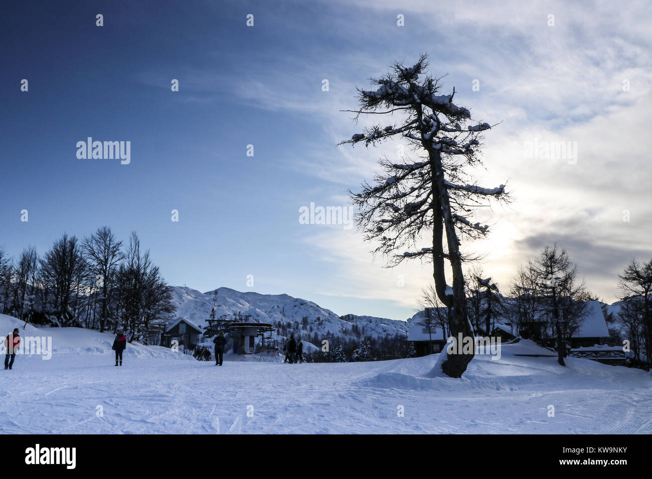 L'étonnante sérénité de Vogel Ski Resort, Slovénie, est capturée dans cette image merveilleuse, parfaite pour orner le front d'une carte de Noël ou une carte postale. Banque D'Images