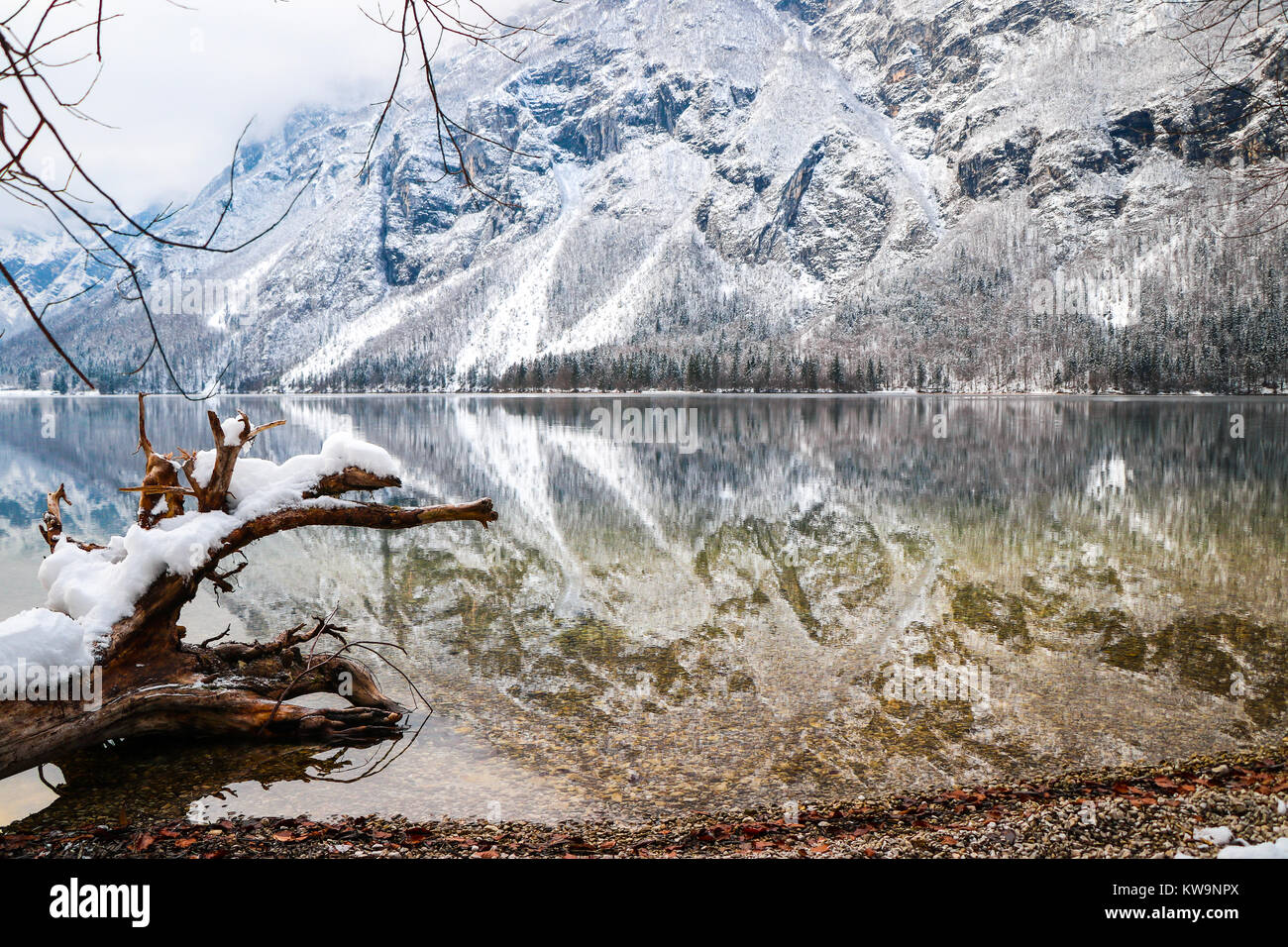 L'étonnante sérénité du lac de Bohinj, en Slovénie, est capturée dans cette image merveilleuse, parfaite pour orner le front d'une carte de Noël ou une carte postale. Banque D'Images