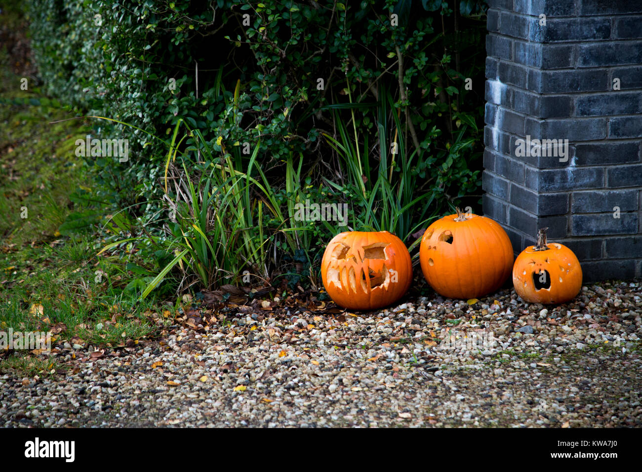 Trois citrouilles sculptées à la lumière du jour Banque D'Images