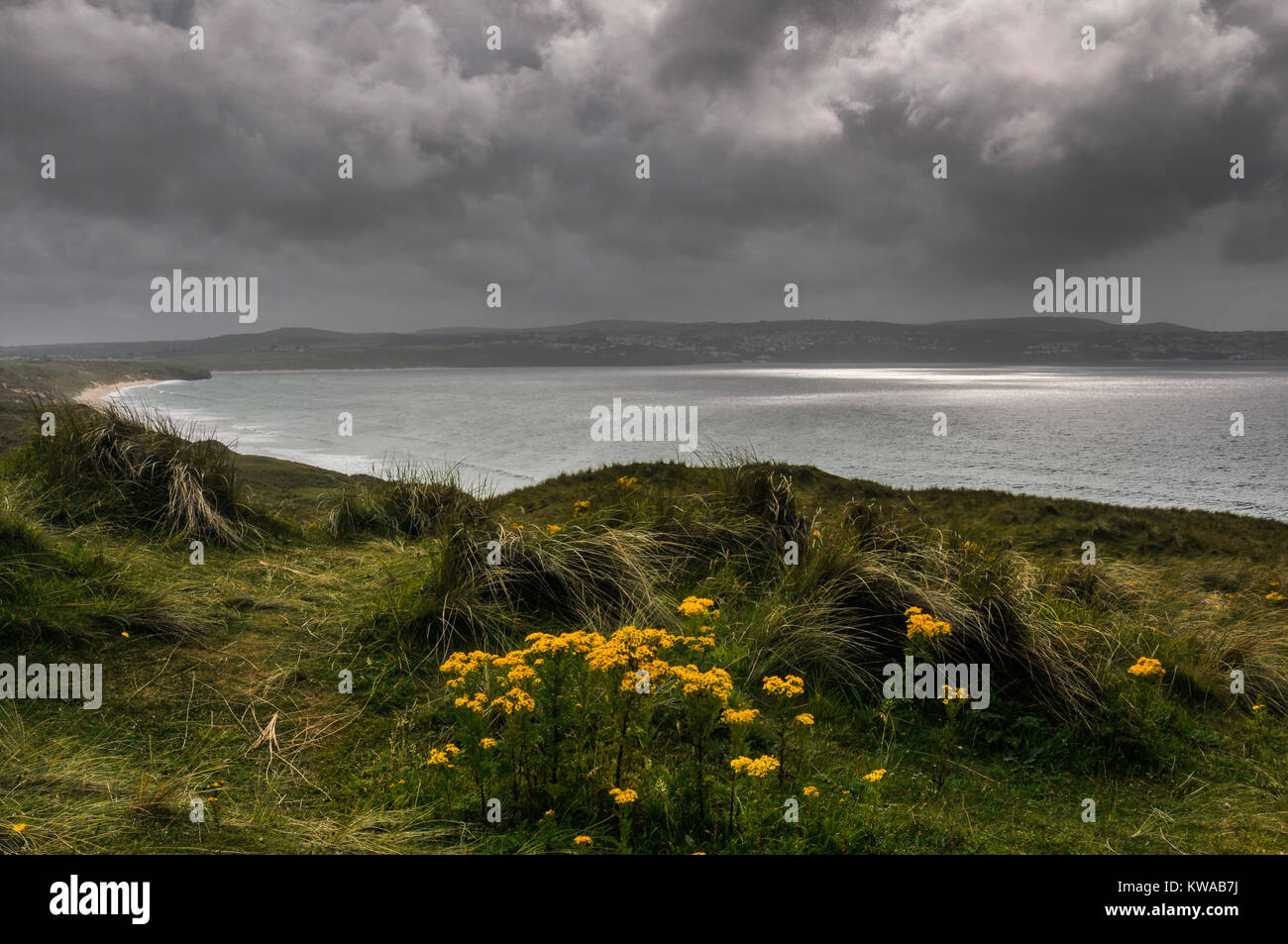 Vue sur la mer depuis la falaise herbeuse dans une baie à la plage de rochers sur la côte de Cornouailles, Cornwall, England, UK Banque D'Images