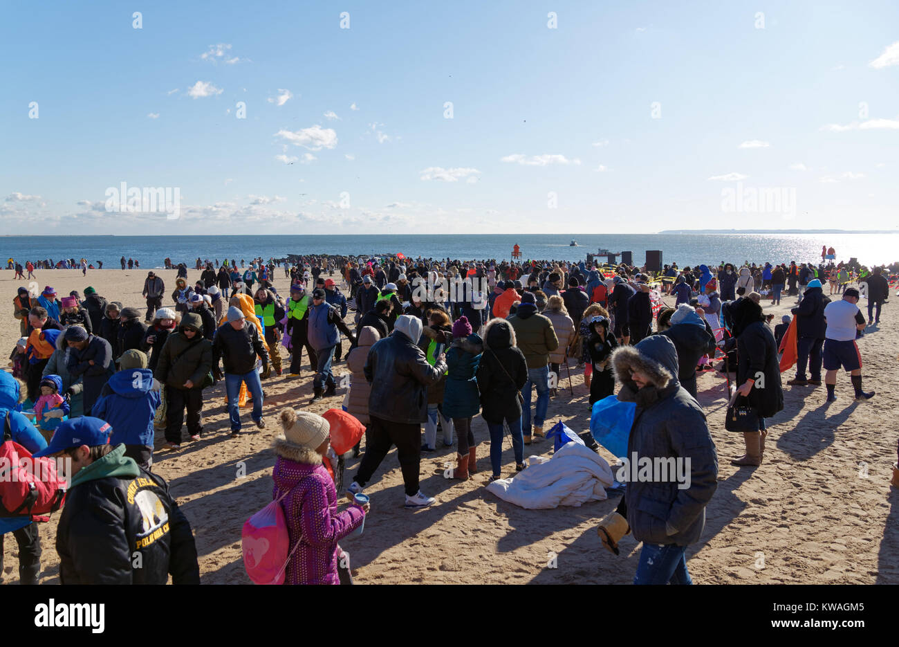 New York, USA. 06Th Jan, 2018. Coney Island NYC Ours polaire annuel dans l'Hudson River Crédit : Bob London/Alamy Live News Banque D'Images