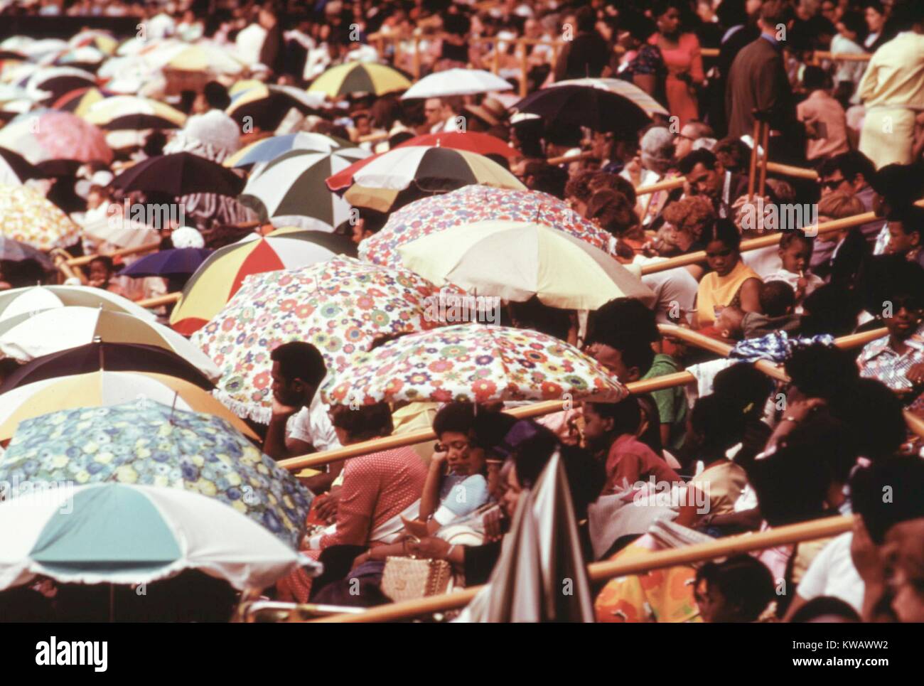 Membres des Témoins de Jéhovah eux-mêmes de l'ombre du soleil avec des parasols au cours de la convention annuelle du groupe au parc White Sox de Chicago, Illinois, Juillet, 1973. Image courtoisie John White/US National Archives. L'image de courtoisie des Archives nationales. Banque D'Images