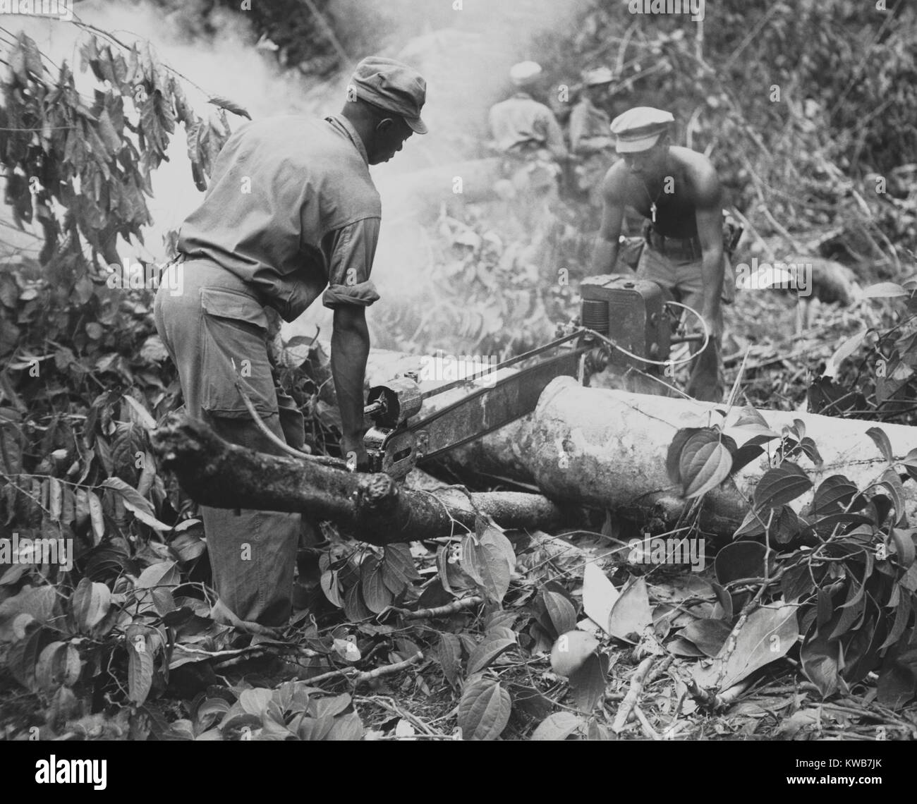 Les ingénieurs de combat américains africains utilisent une scie à moteur pour enlever des arbres sur un sentier sur Bougainville. 17 juillet, 1944. La Seconde Guerre mondiale 2. (BSLOC   2014 10 229) Banque D'Images