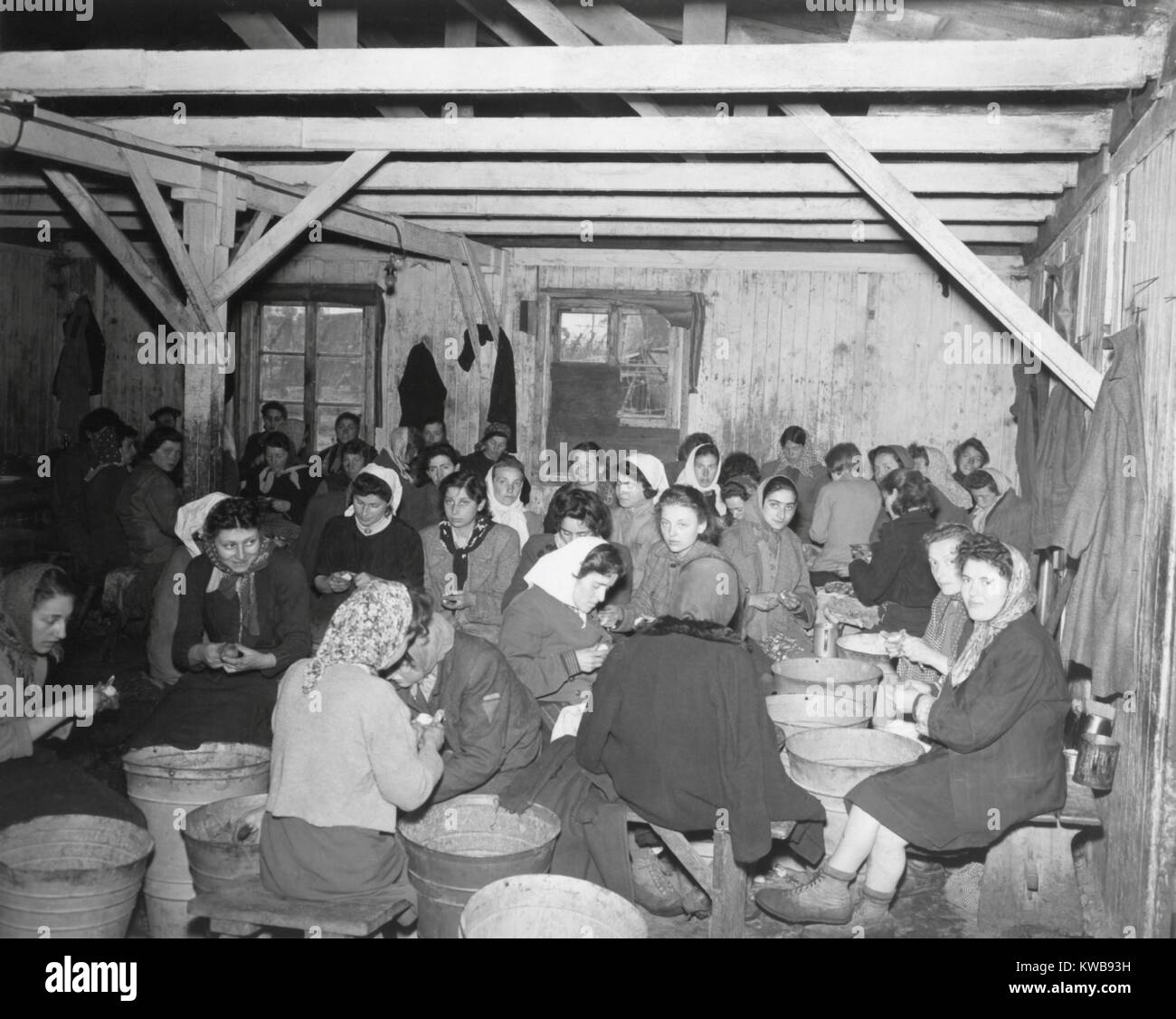 Les prisonnières libérées au camp de concentration de Bergen-Belsen. Ces femmes ont continué leur travail comme éplucheuses de pommes de terre, mais sous la protection de la 2ème Armée Britannique. Avril 1945, la Première Guerre mondiale 2. (BSLOC   2014 10 177) Banque D'Images