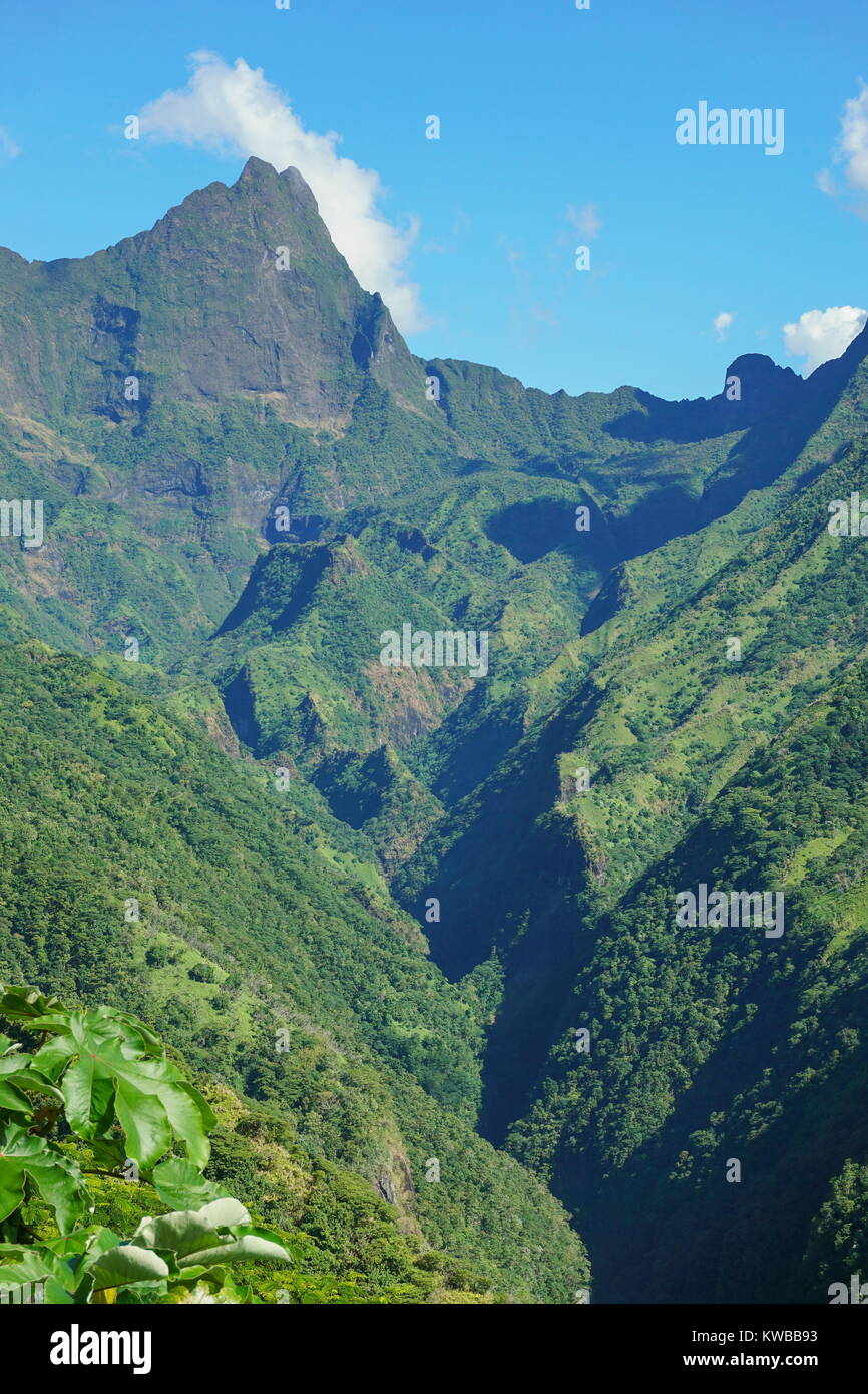 Tahiti Island Mountain Le Mont Orohena Plus Haut Sommet De