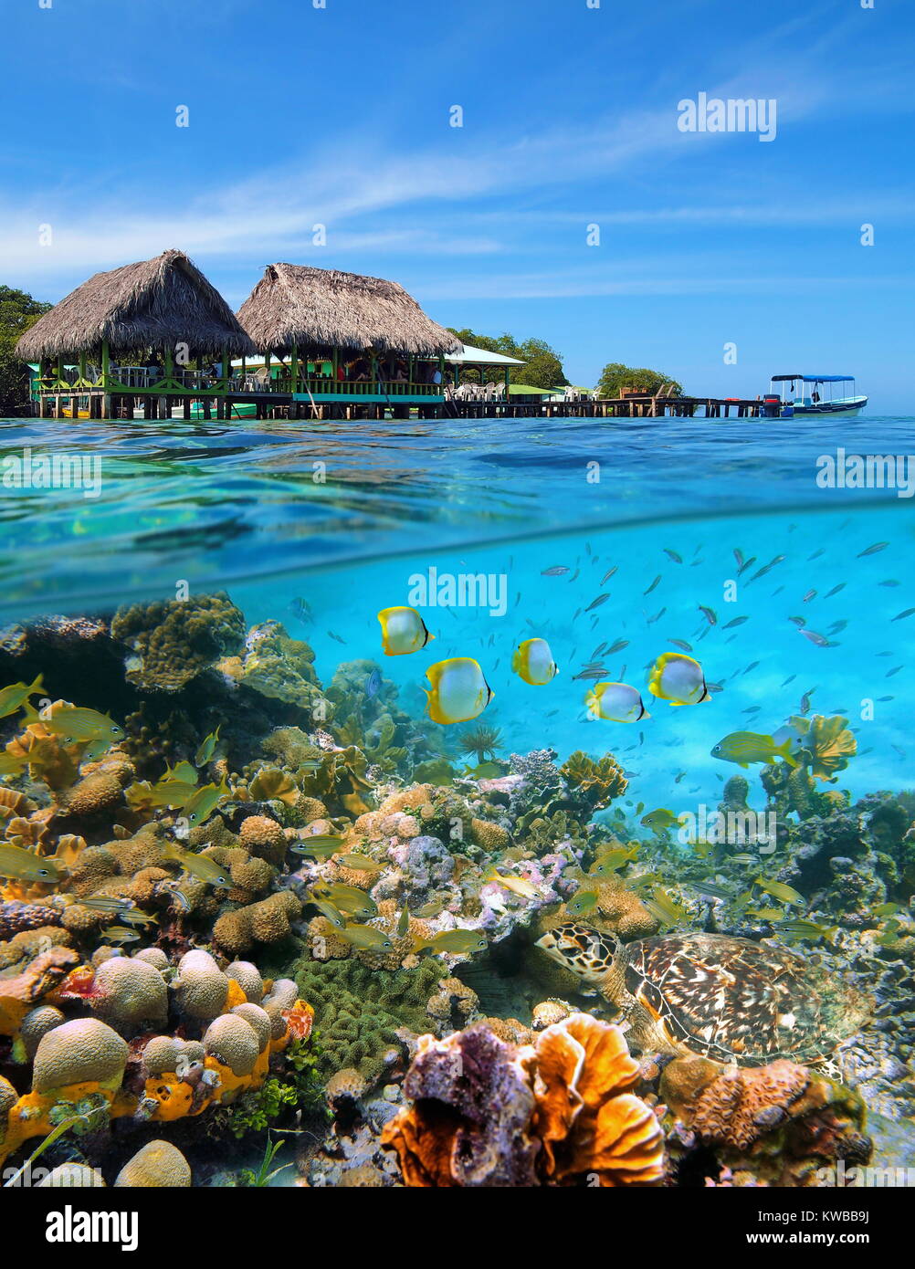 Un restaurant tropical avec des huttes au toit de chaume au-dessus de l'eau et un récif de corail avec des poissons et une tortue de mer sous l'eau, mer des Caraïbes, le Panama Banque D'Images