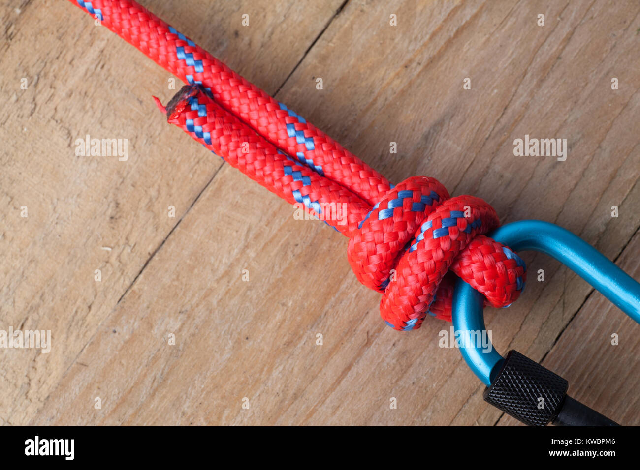 Corde Élastique De Rétention Avec Mousqueton - Pour Pêche, Camping - PVC - Léger Et Portable - Couleurs Variées
