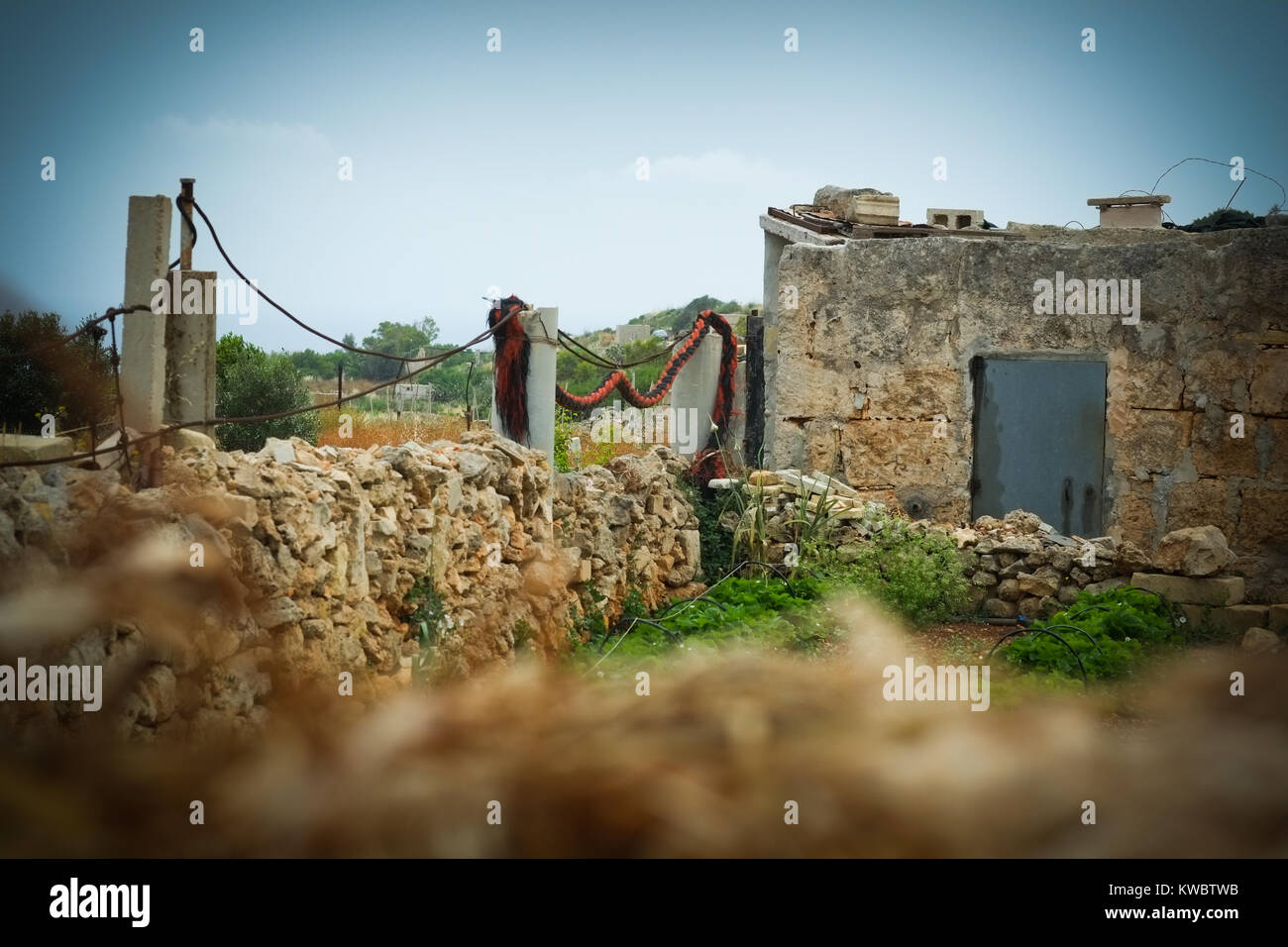 La culture des légumes méditerranéens à Malte, la vie de l'île rurale Banque D'Images