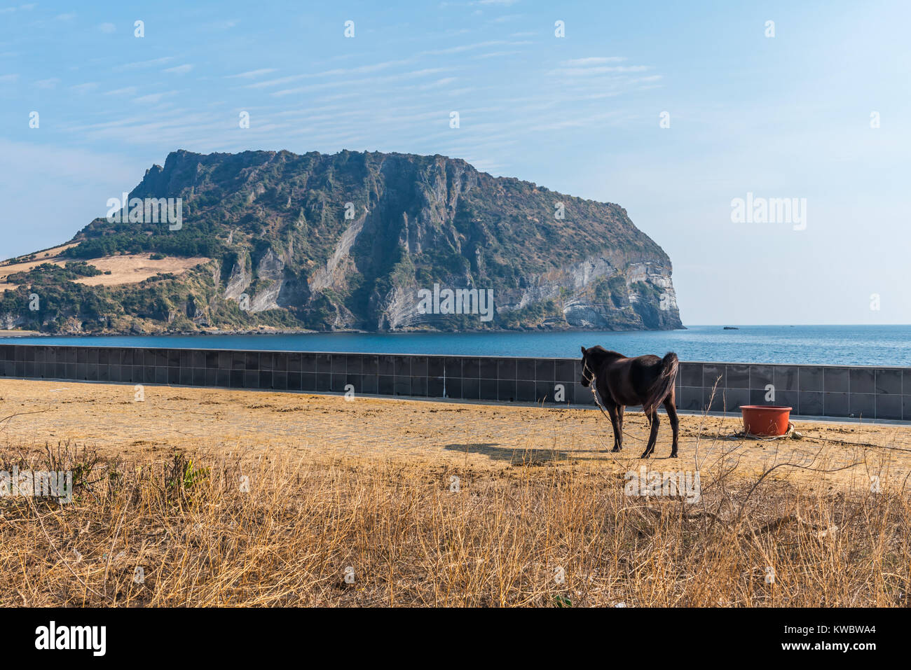 Seongsan Ilchulbong , , l'île de Jeju, Corée du Sud Banque D'Images