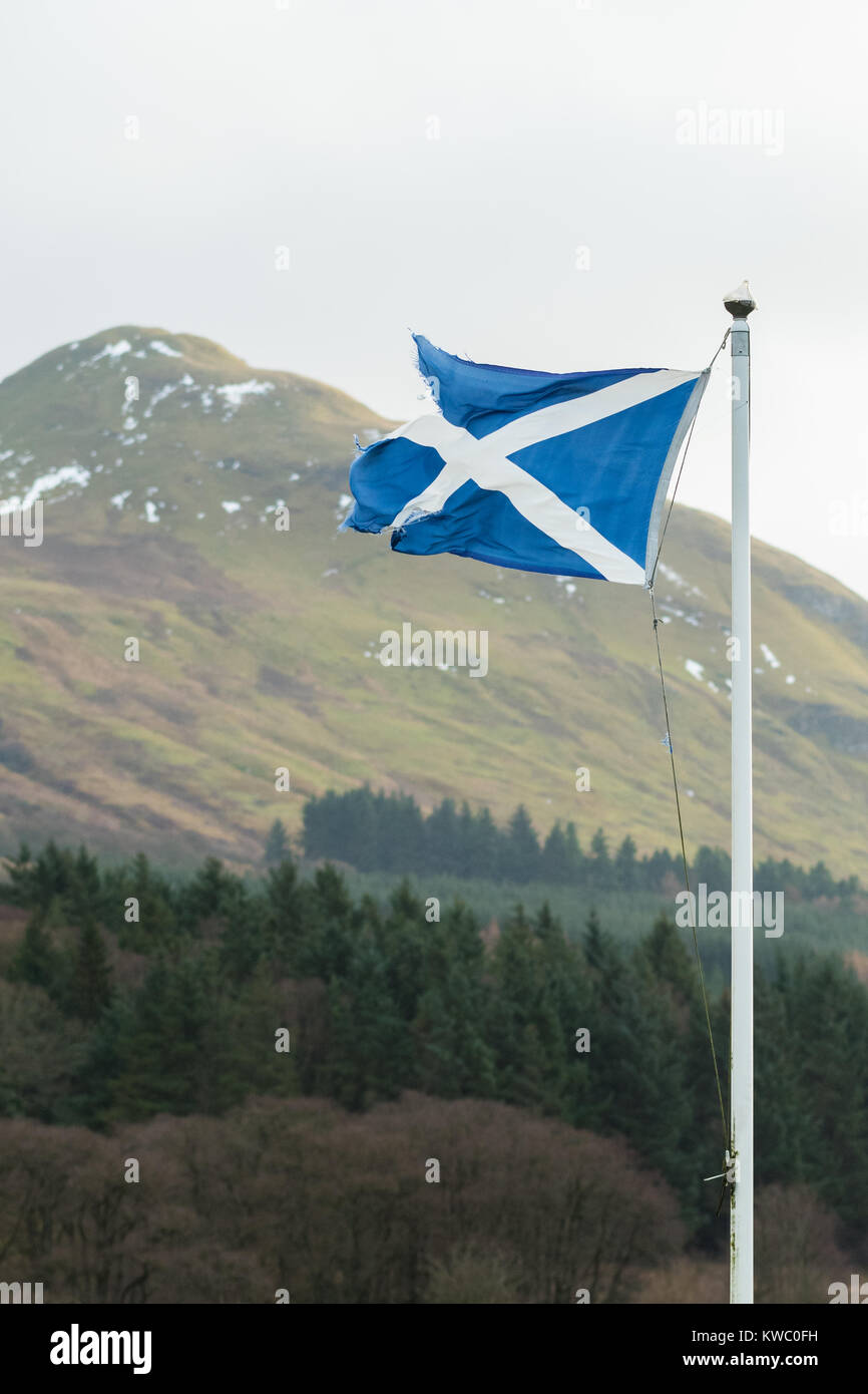 Drapeau écossais et déchiré en lambeaux dans le vent Banque D'Images