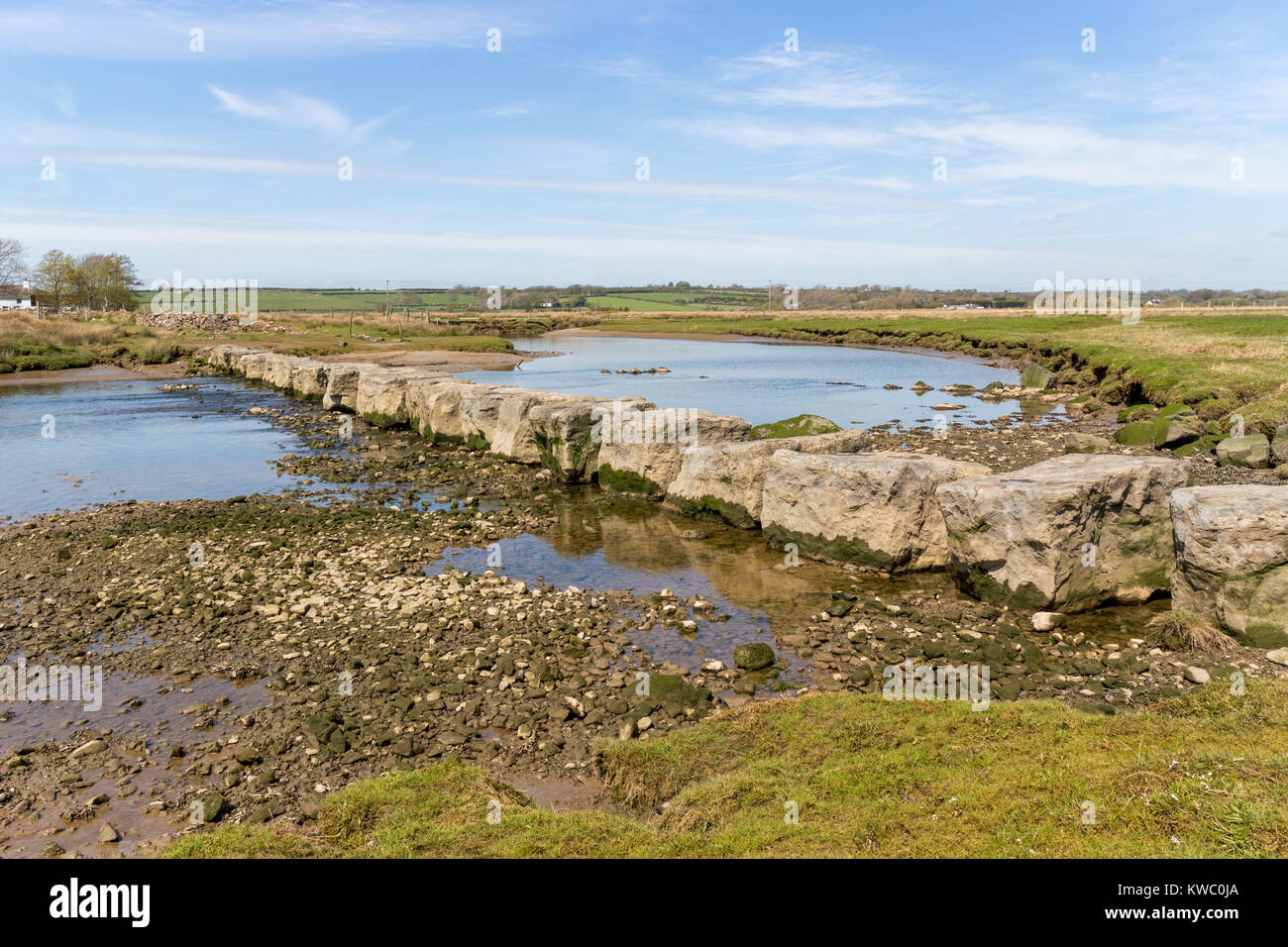 Les Géants des tremplins à travers d'Afon Braint et Swan, Newborough, Anglesey, Pays de Galles, Royaume-Uni, UK Banque D'Images