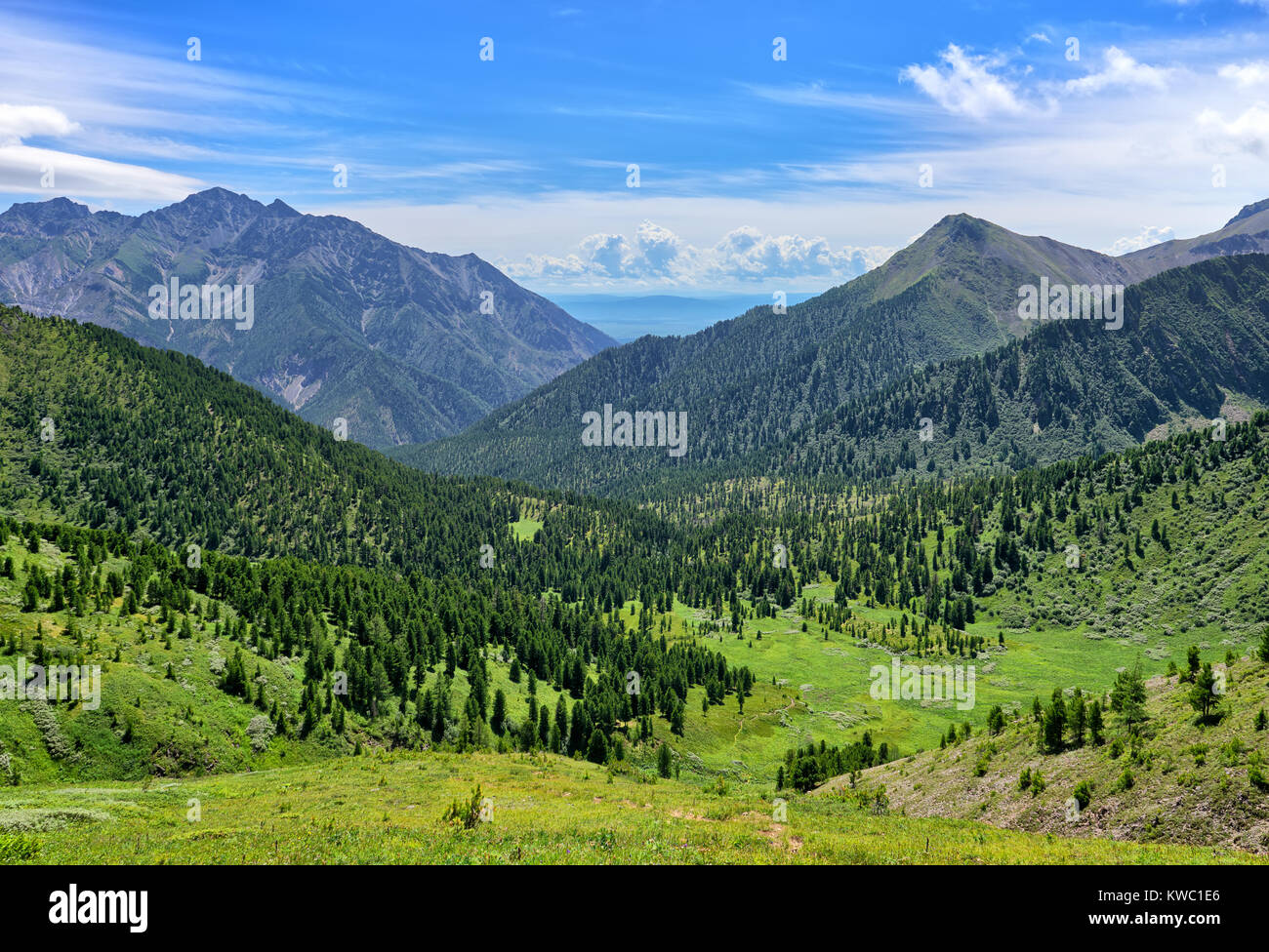Aperçu de l'ensemble de la vallée de montagne avec de rares forêts et alpages verts. Tunkinsky Parc National. Sayan de l'Est. La Russie Banque D'Images