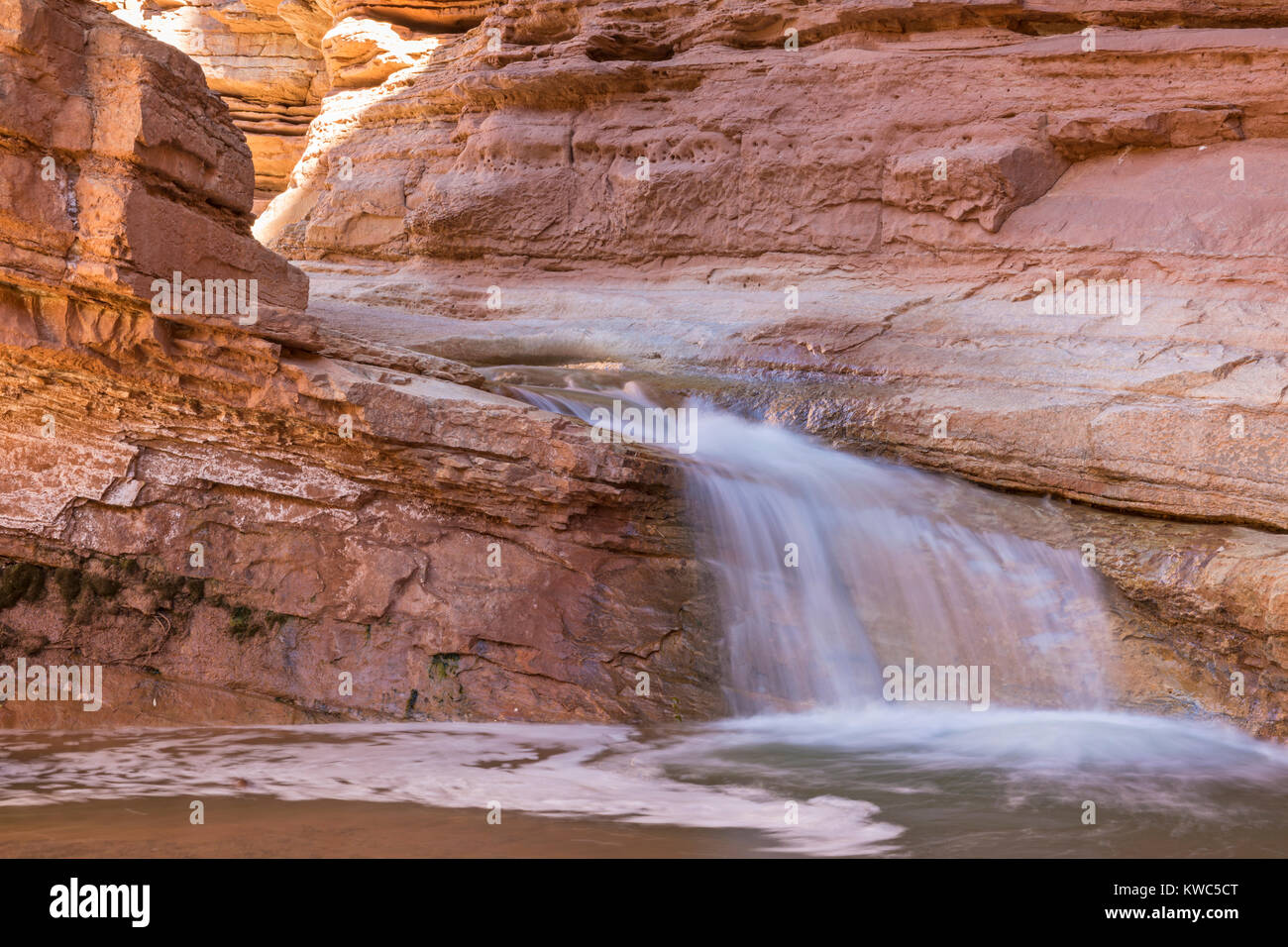 Une petite cascade de Sulphur Creek Canyon dans Capitol Reef National Park, en Utah. Banque D'Images