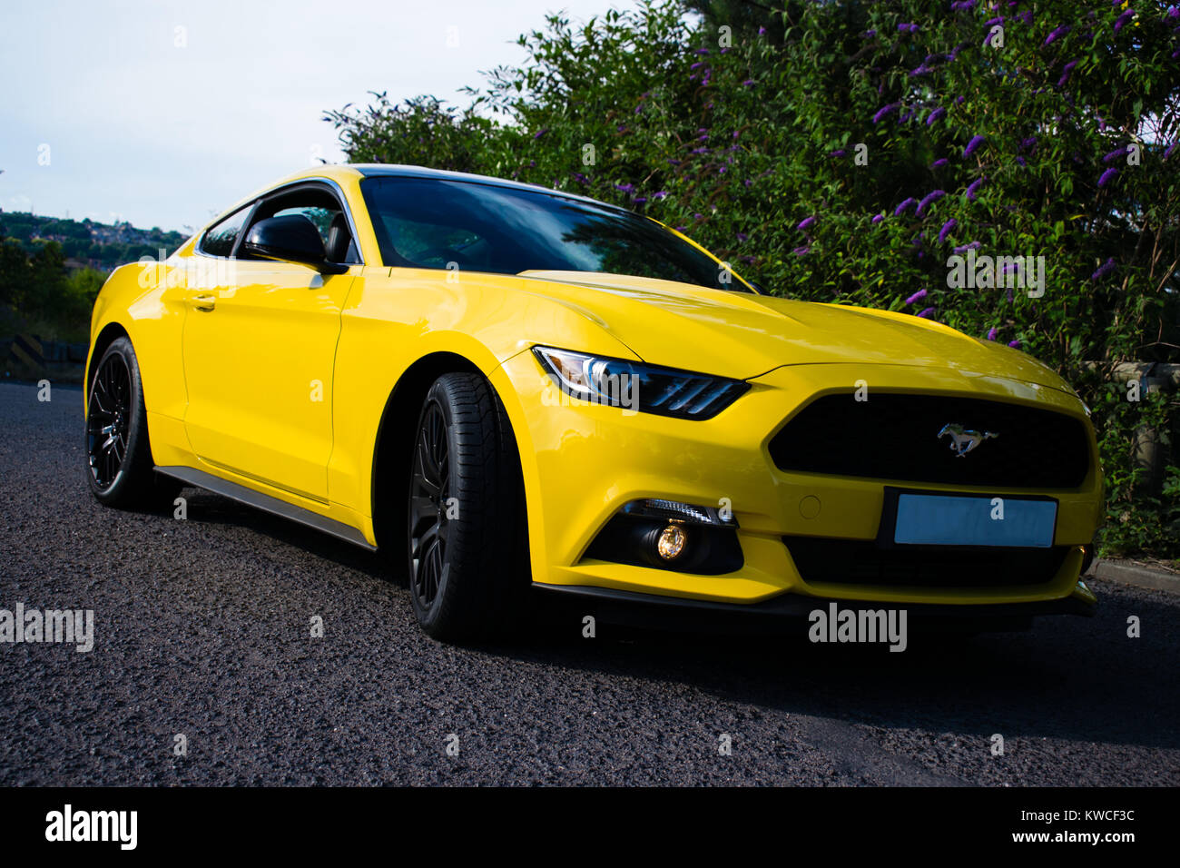 2017 Ford Mustang Banque D'Images