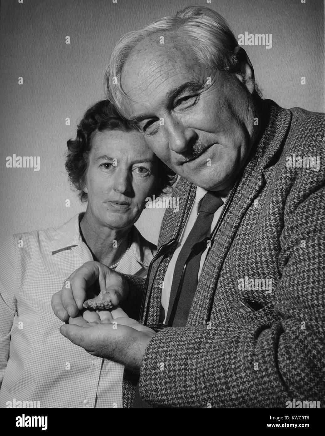 Les anthropologues Mary Douglas Leakey et son mari Louis Leakey. Louis est maintenant le fragment d'un début de l'os de la mâchoire avec les molaires. Ca. Années 1960. - BSLOC  2015 (1 57) Banque D'Images