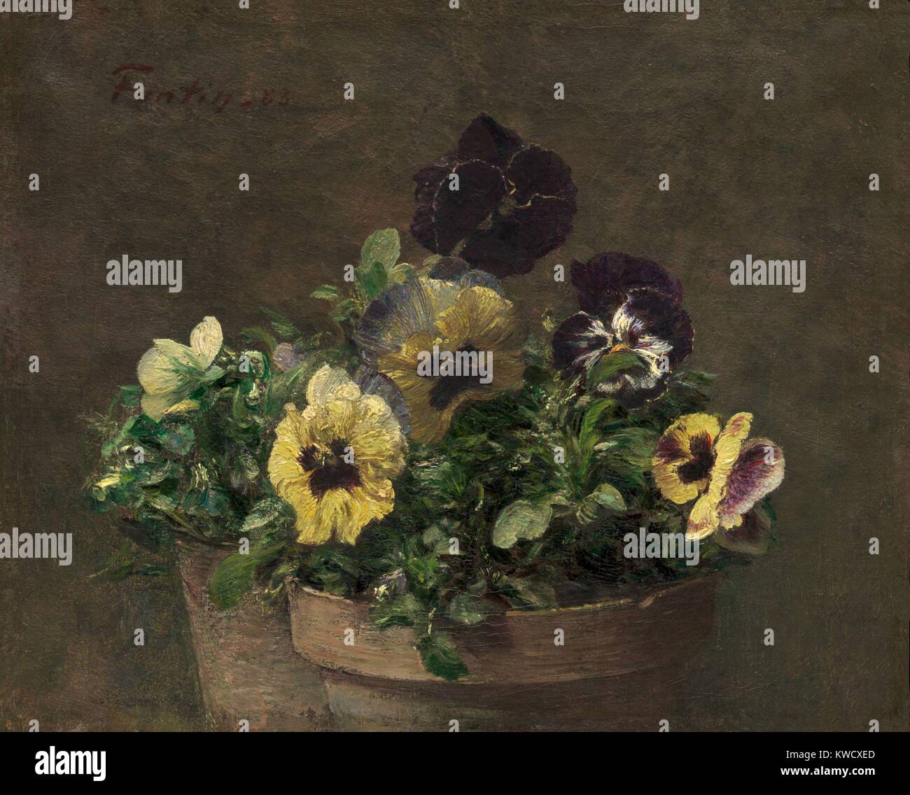 Pensées en pot, par Henri Fantin-Latour, 1883, la peinture impressionniste français, huile sur toile. C'est une petite peinture, mesure seulement 11 x 13 1/2 pouces (BSLOC 2017 3 152) Banque D'Images